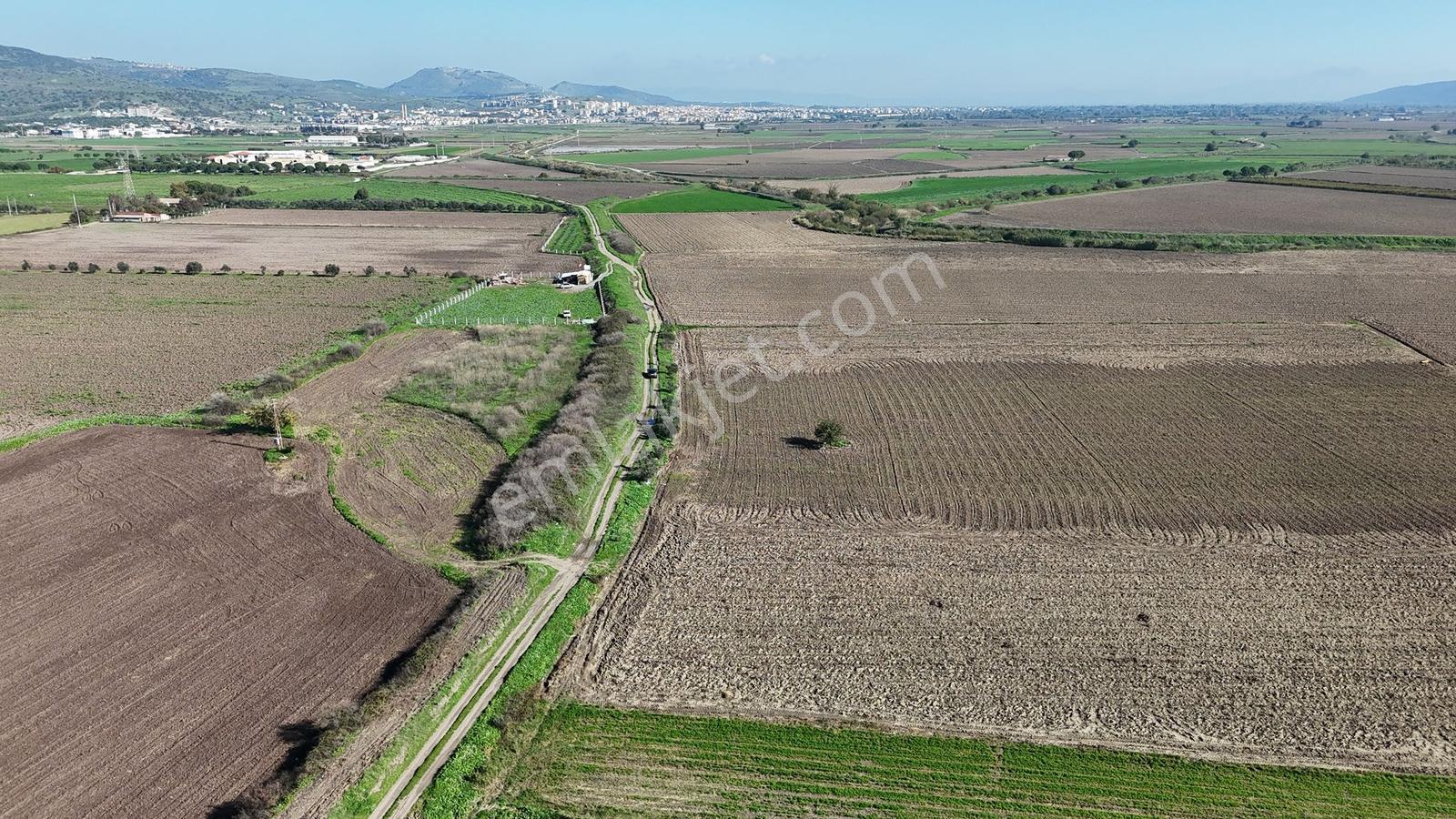 Bergama Fatih Mahallesinde 3802 M2 Satılık Tarla - Görsel 9