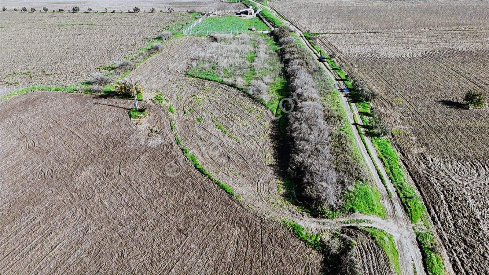 Bergama Fatih Mahallesinde 3802 M2 Satılık Tarla - Görsel 14