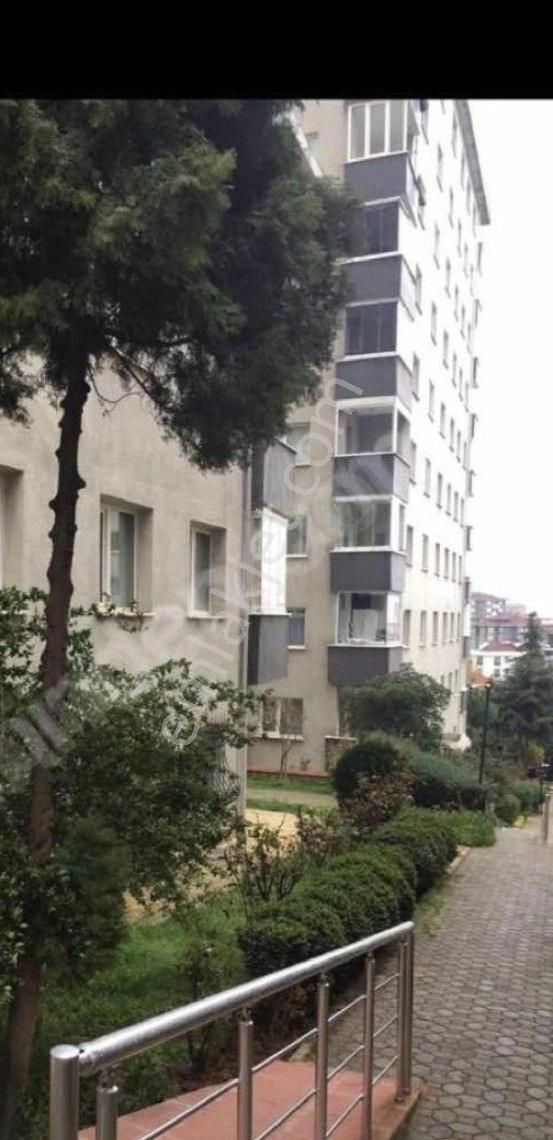 Uğurmumcuda 3+1aciliyetten