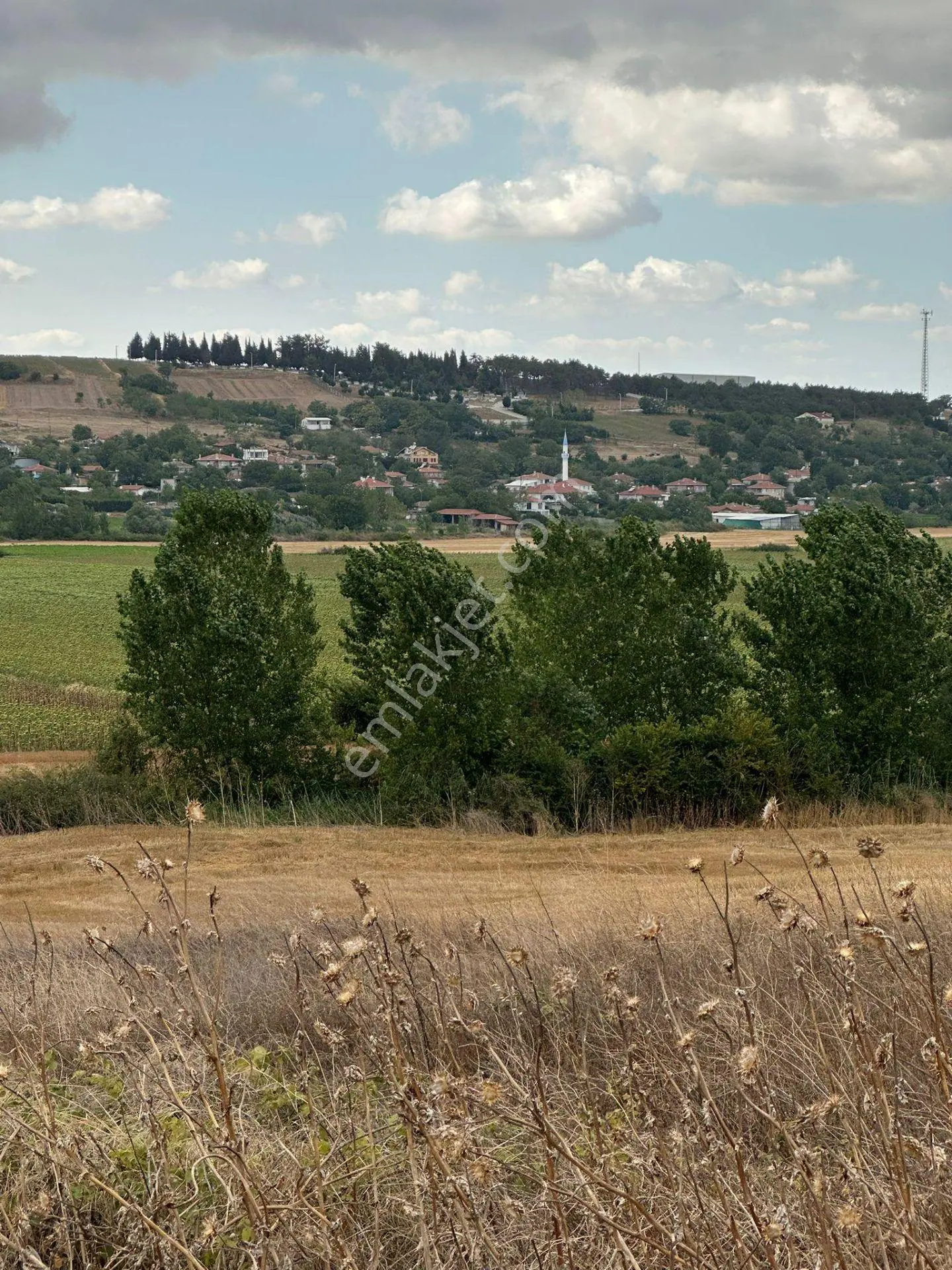 Tekirdağ Muratlı Yeşilsırt Mah. 1.650 M² Köye Yakın Müstakil Tarla - Görsel 2