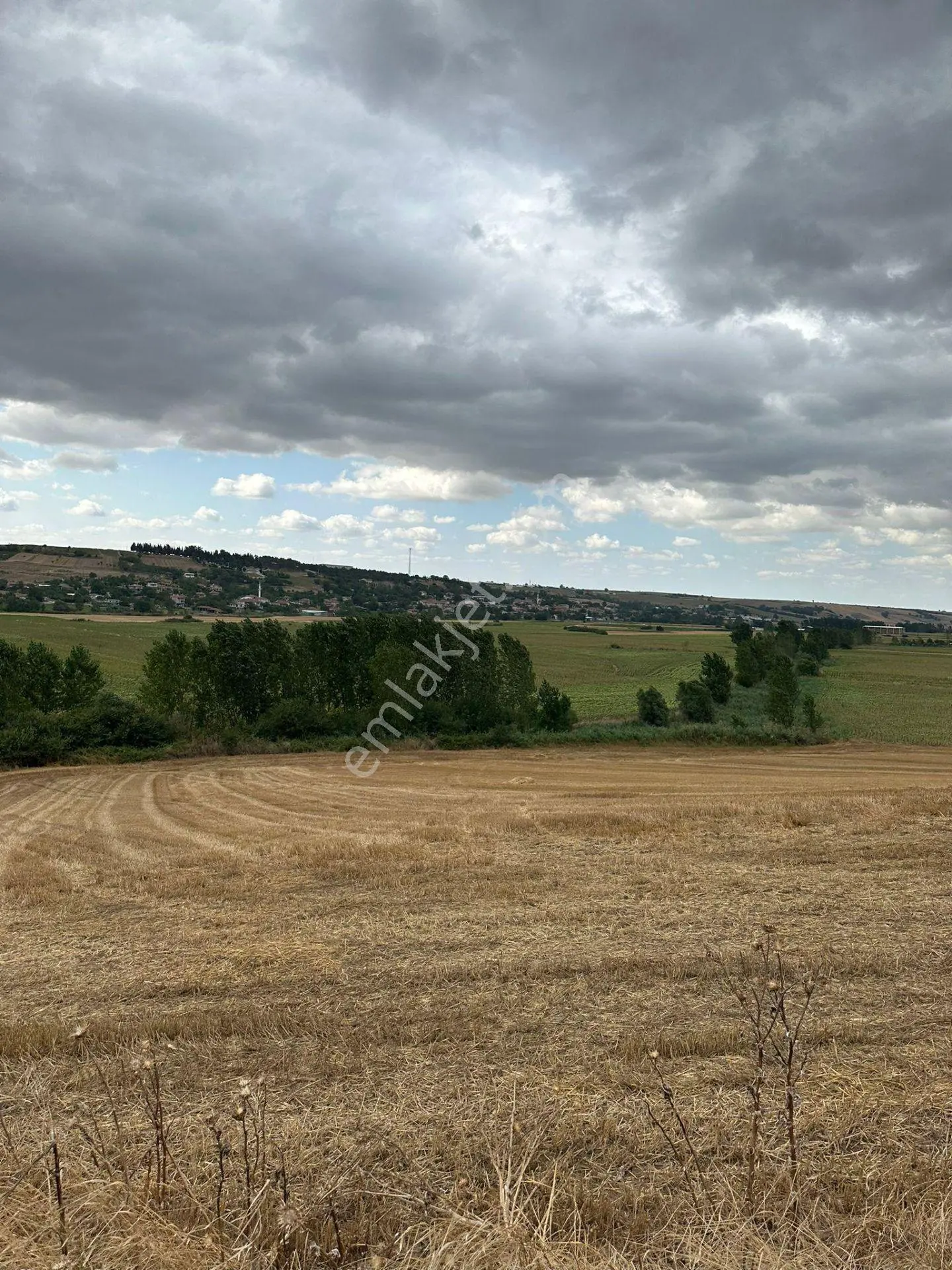 Tekirdağ Muratlı Yeşilsırt Mah. 1.650 M² Köye Yakın Müstakil Tarla - Görsel 4