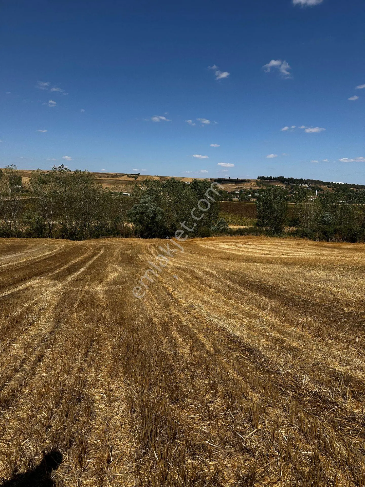 Tekirdağ Muratlı Yeşilsırt Mah. 1.650 M² Köye Yakın Müstakil Tarla - Görsel 5