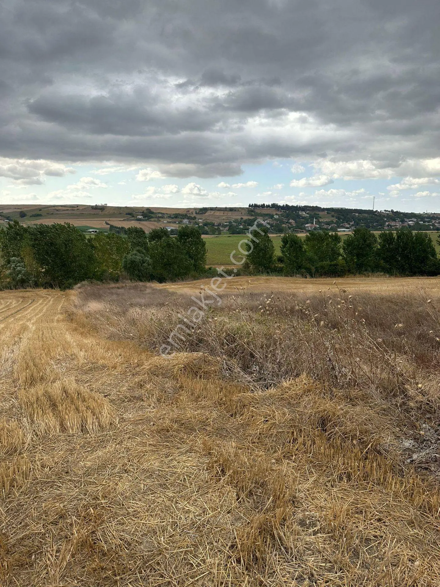 Tekirdağ Muratlı Yeşilsırt Mah. 1.650 M² Köye Yakın Müstakil Tarla