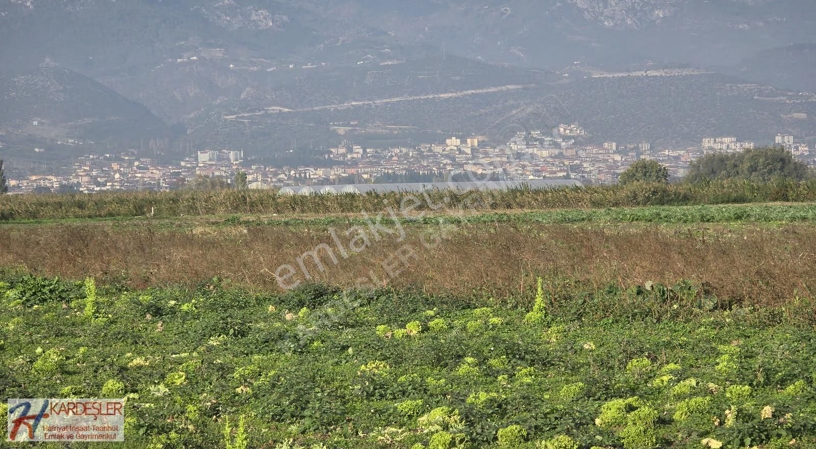 Sakarya Pamukova Çardak Mah. Yatırımlık Verimli Arazi Mah.400 Mt - Görsel 7