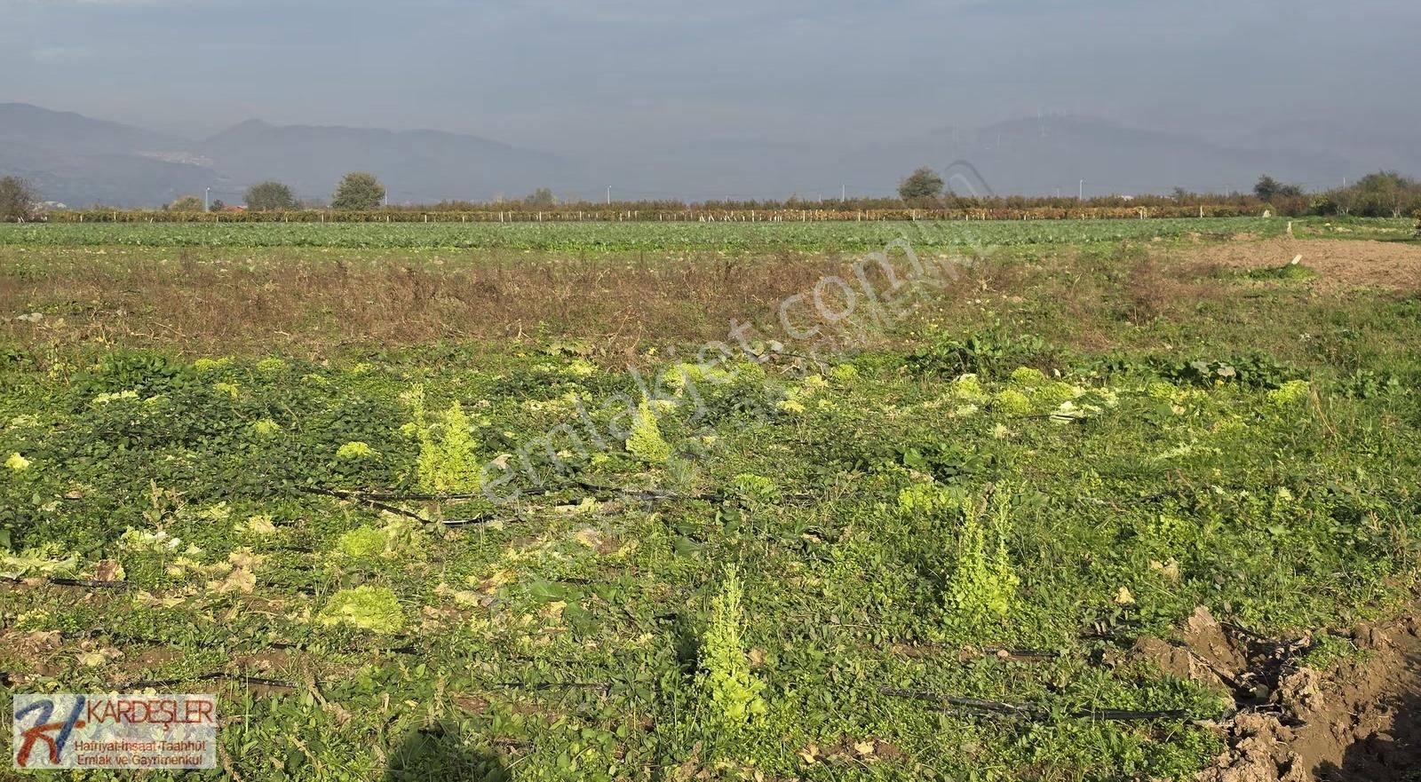Sakarya Pamukova Çardak Mah. Yatırımlık Verimli Arazi Mah.400 Mt - Görsel 22