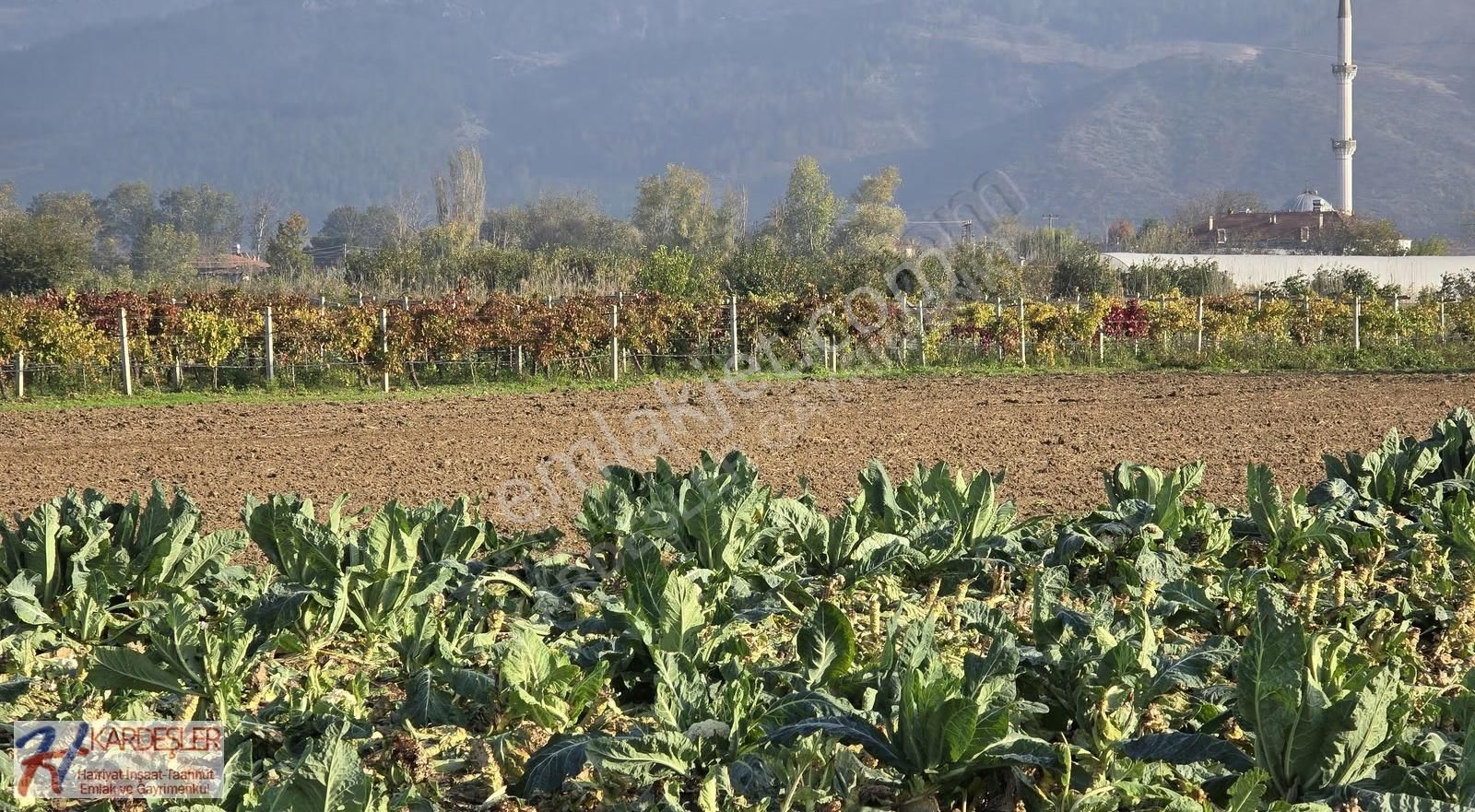 Sakarya Pamukova Çardak Mah. Yatırımlık Verimli Arazi Mah.400 Mt - Görsel 12