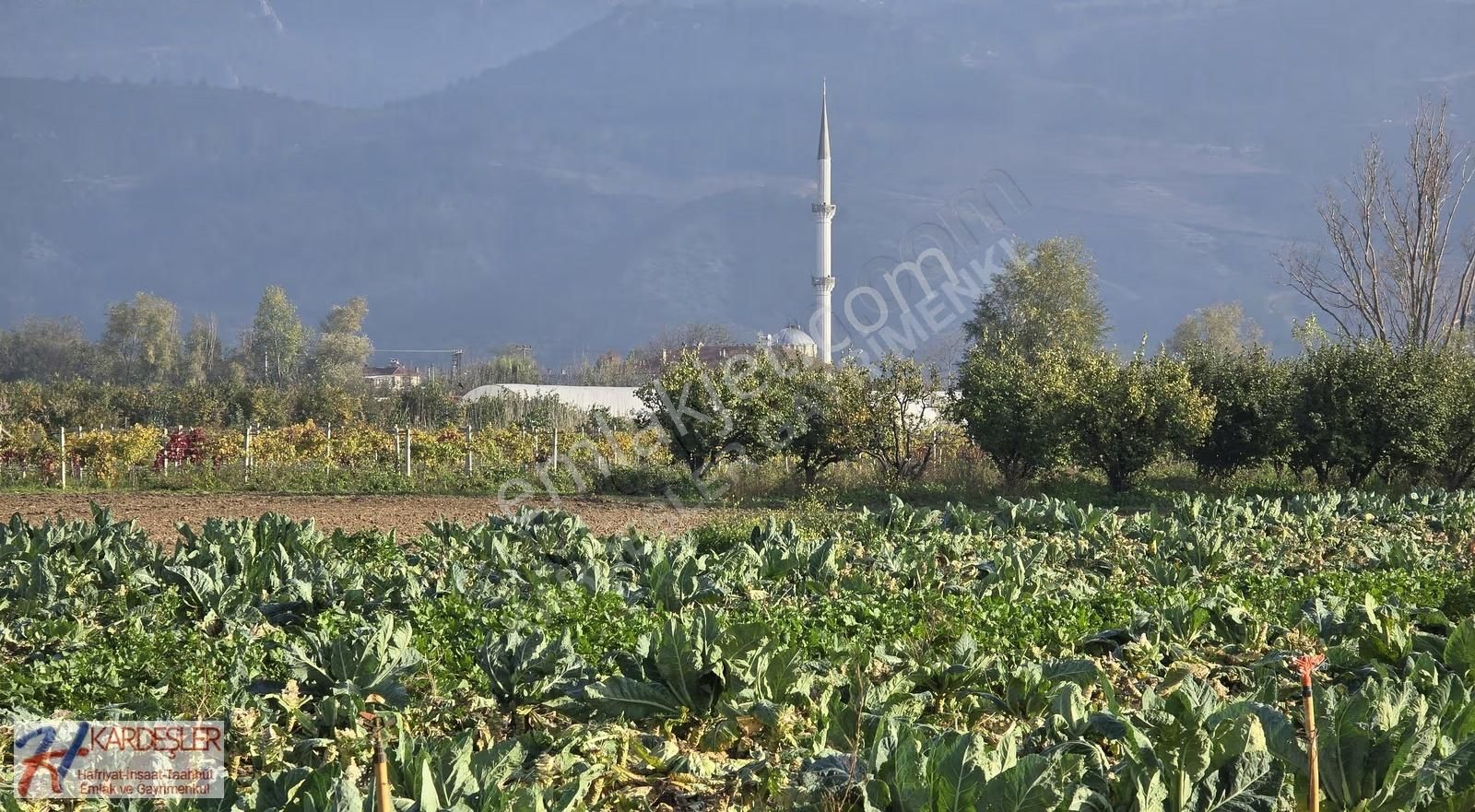 Sakarya Pamukova Çardak Mah. Yatırımlık Verimli Arazi Mah.400 Mt - Görsel 17