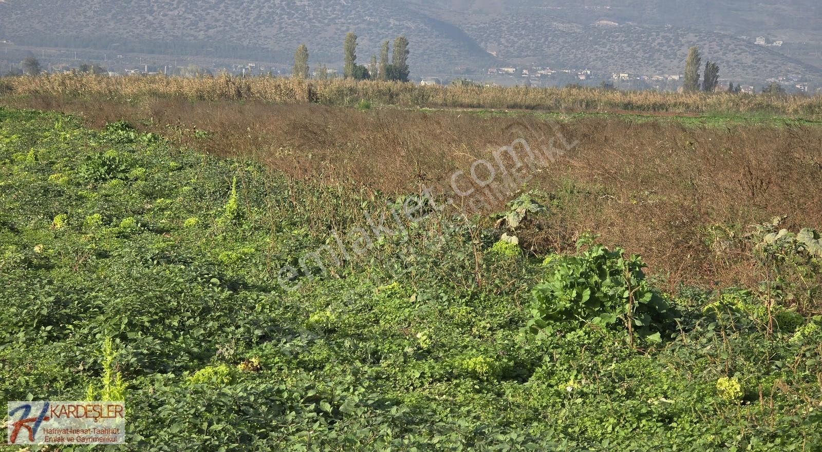Sakarya Pamukova Çardak Mah. Yatırımlık Verimli Arazi Mah.400 Mt - Görsel 14