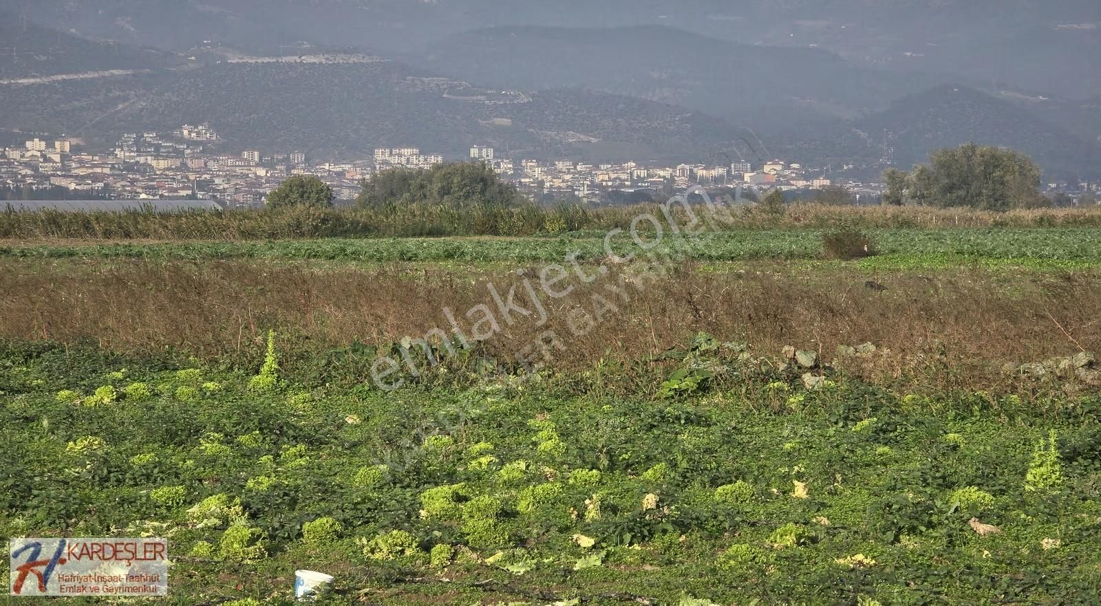 Sakarya Pamukova Çardak Mah. Yatırımlık Verimli Arazi Mah.400 Mt - Görsel 4