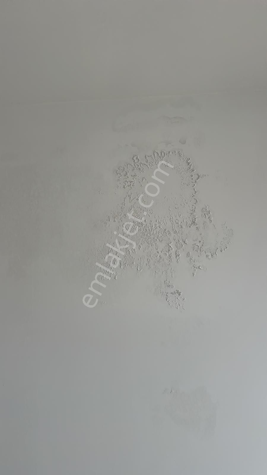 Gho'dan Didim Akbükte Satılık 2+1 Daire - Görsel 29