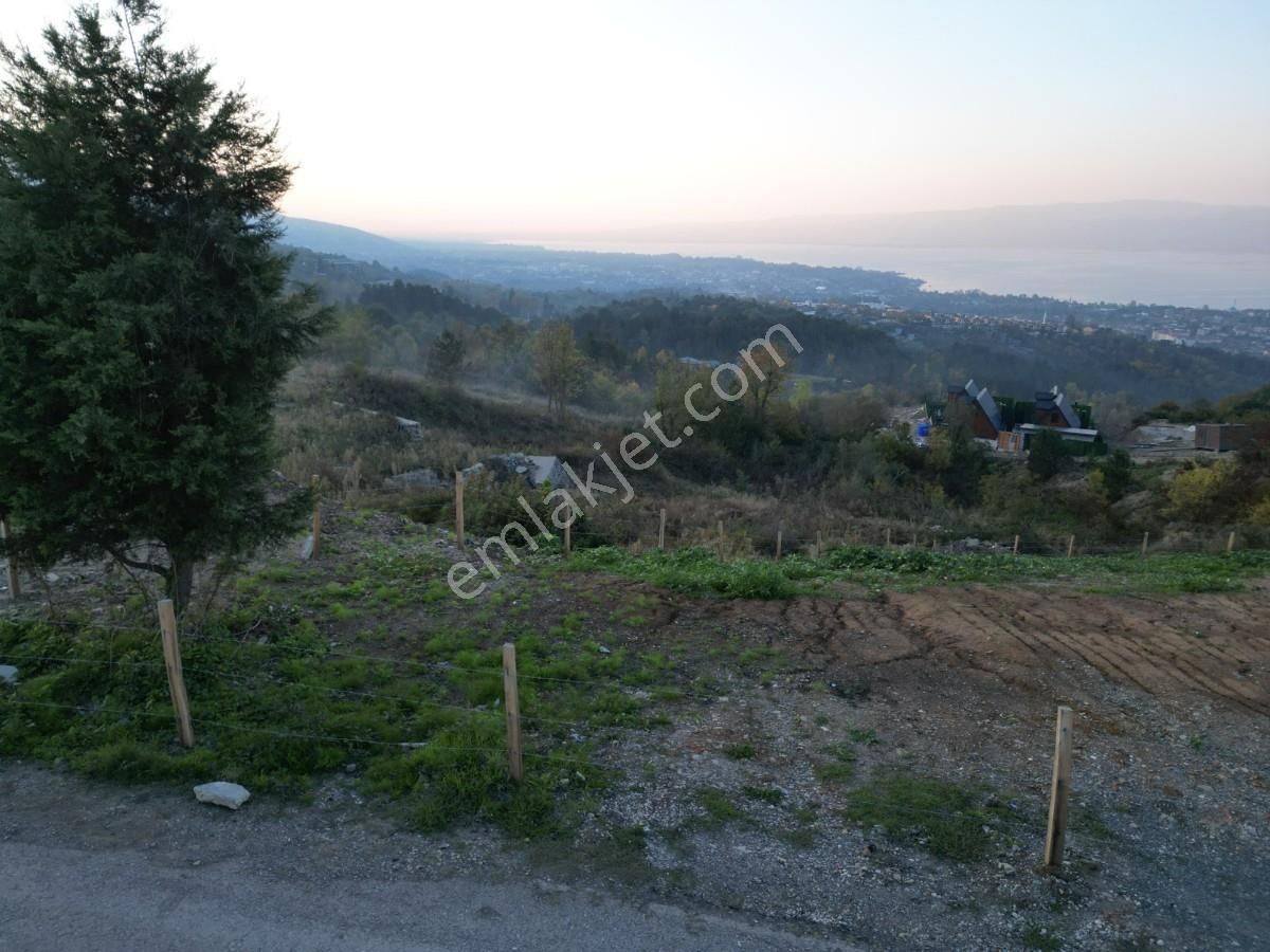Sapanca Hacımercan Mhde Göl Manzaralı %20 İmarlı Arsa - Görsel 16