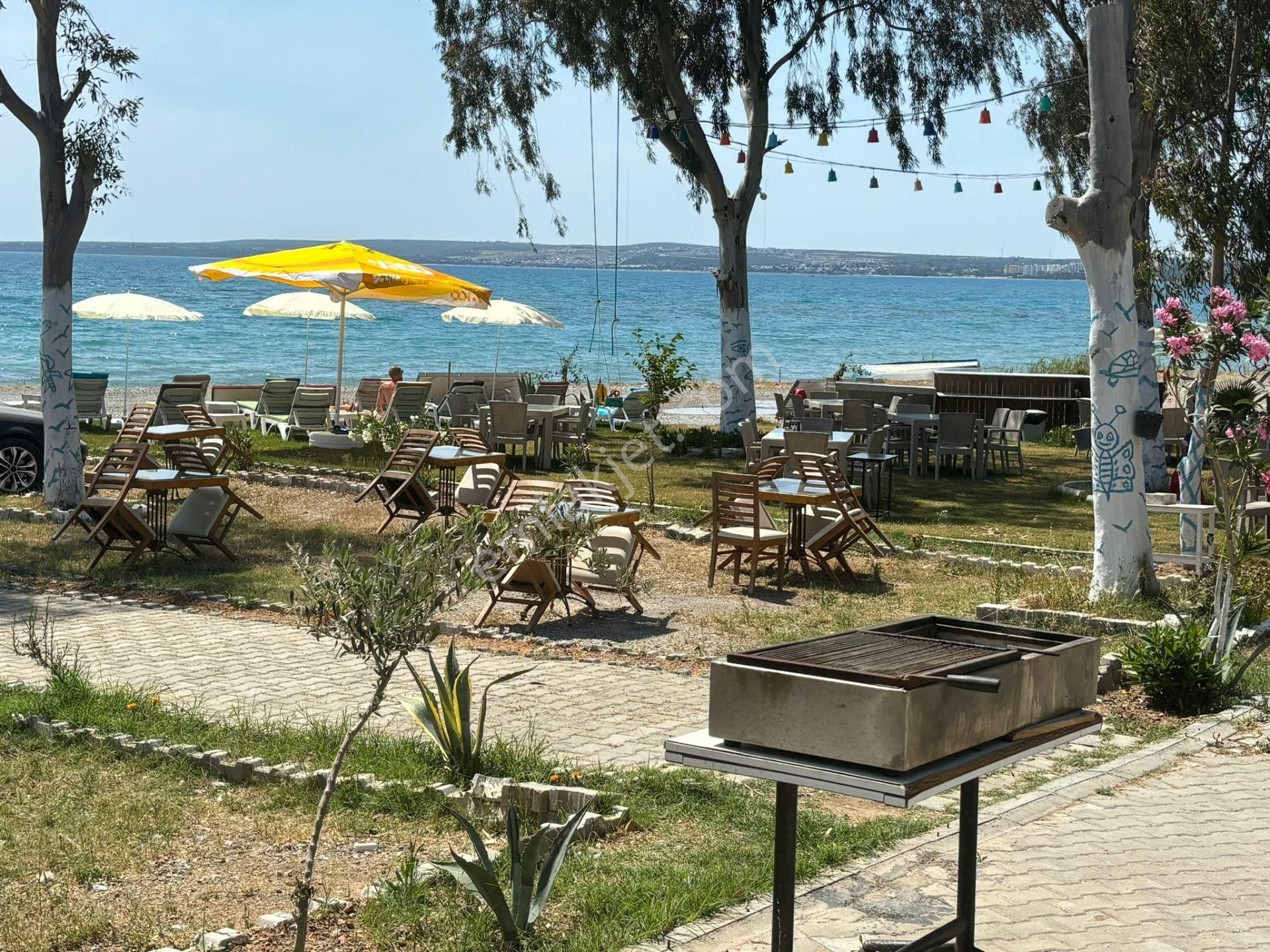 Aydın Akbük'te Satılık Denize Sıfır Yüksek Cirolu Beach & Restorant - Görsel 8