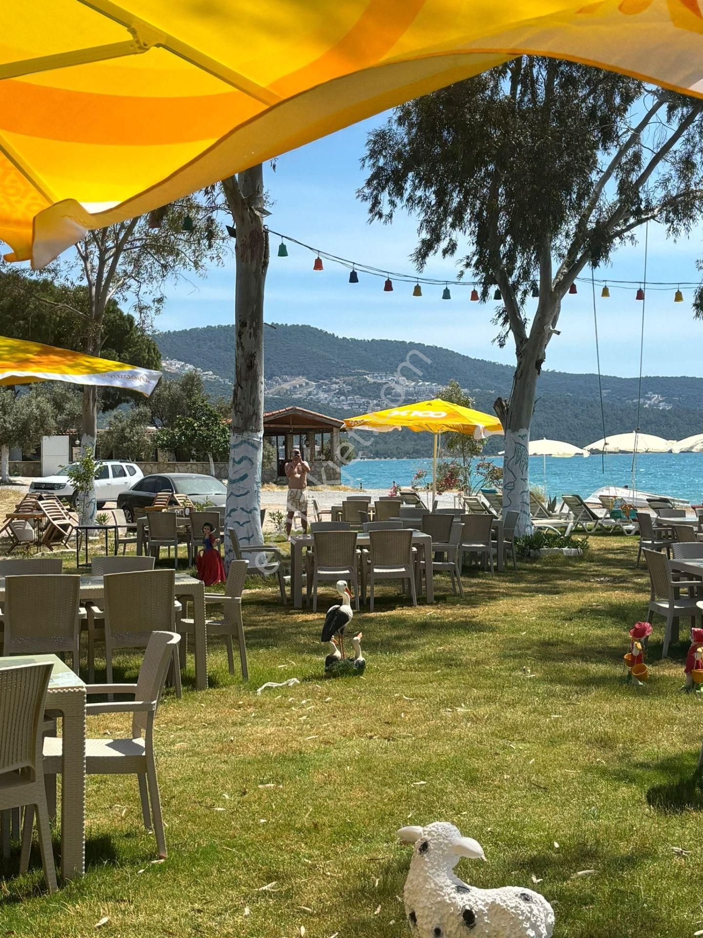 Aydın Akbük'te Satılık Denize Sıfır Yüksek Cirolu Beach & Restorant - Görsel 7