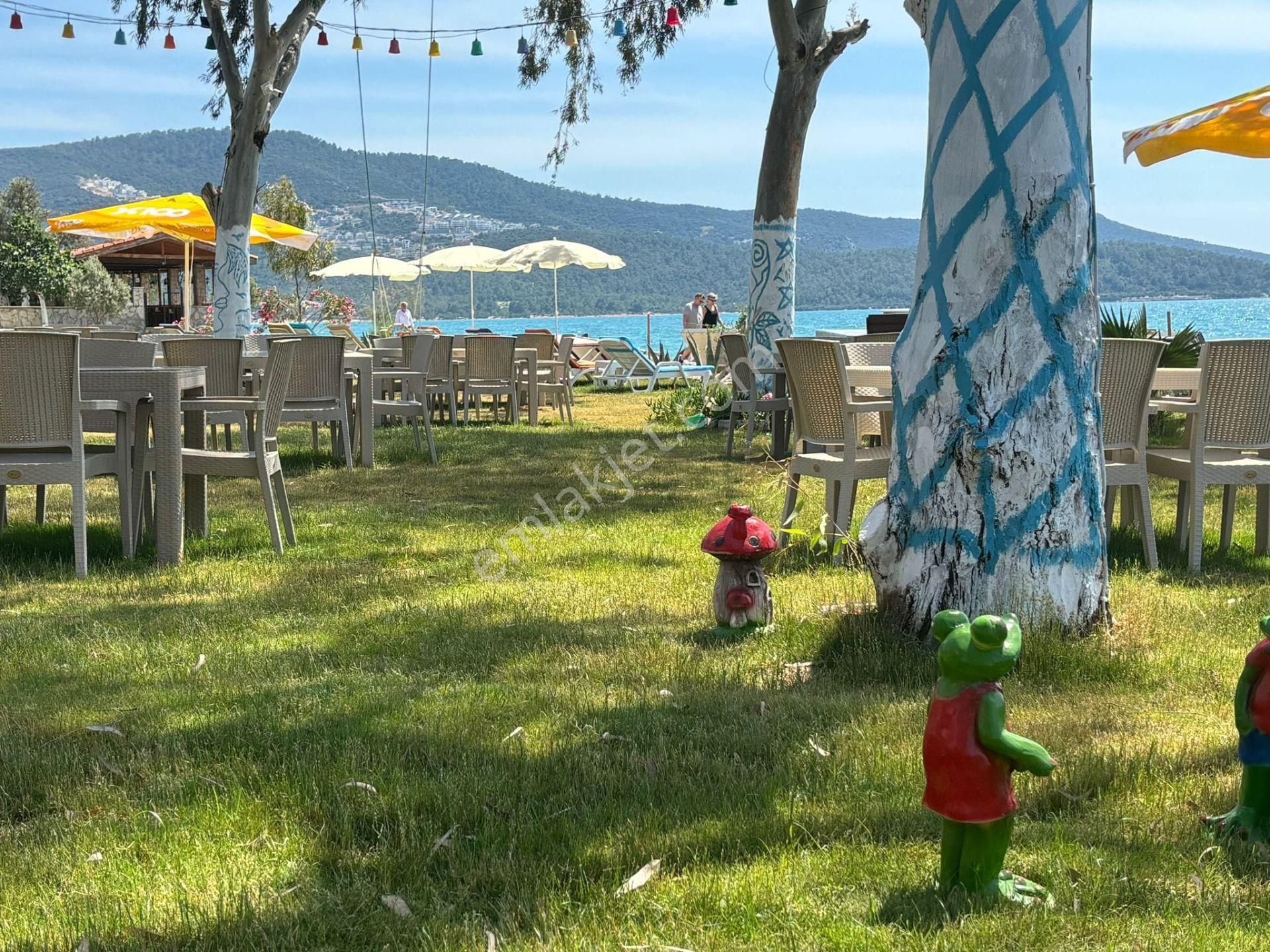 Aydın Akbük'te Satılık Denize Sıfır Yüksek Cirolu Beach & Restorant - Görsel 6