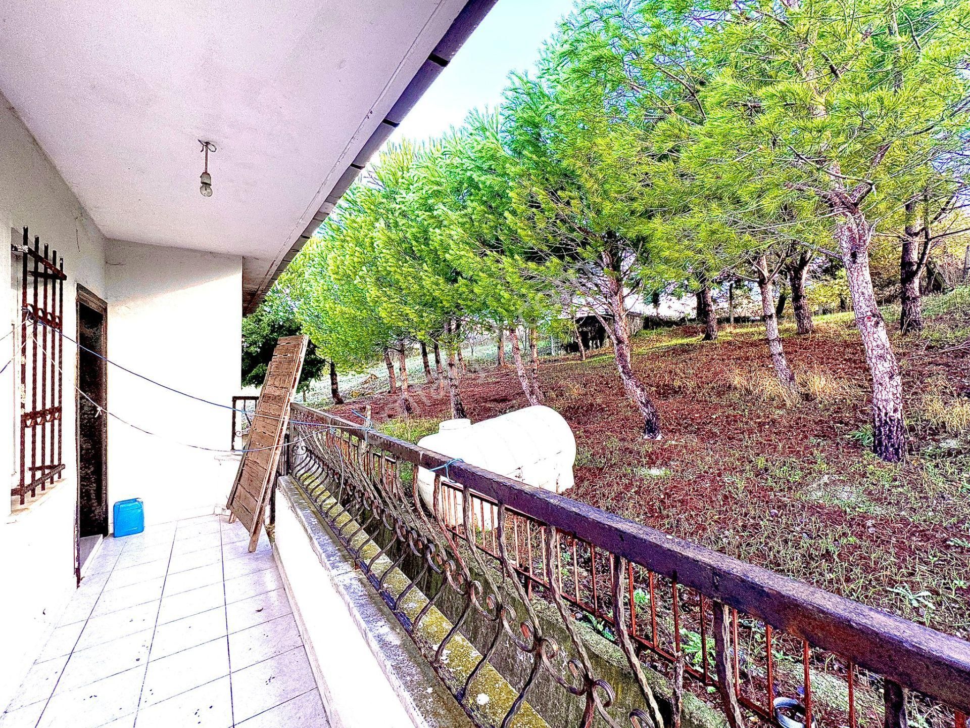 Goldhouse Dan Satılık Yazlıkköy De 6 Dönüm Müstakil Villa Ve Arsa - Görsel 8