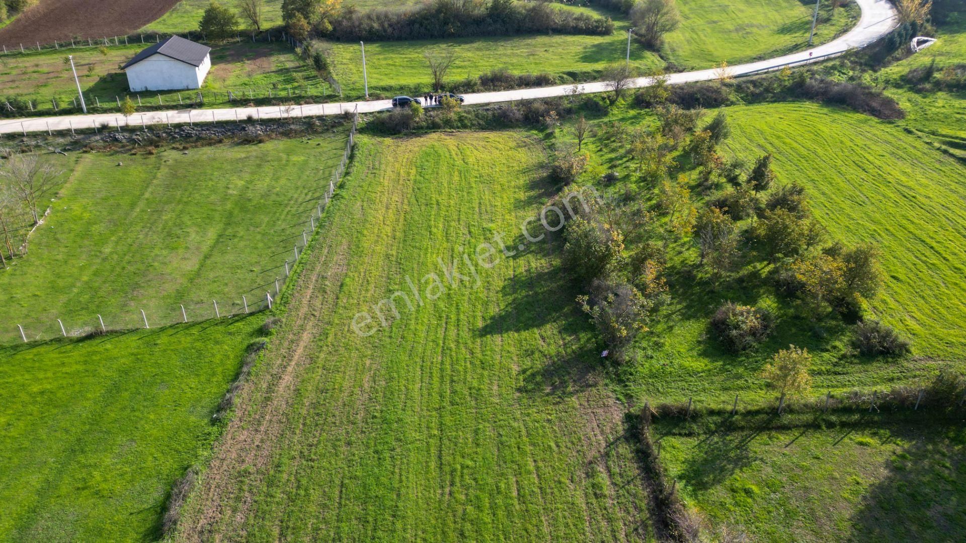 Uzmanlar'dan Karamürsel Yalakdere 1.704 M² Asfalta Cephe Satılık Tarla - Görsel 3