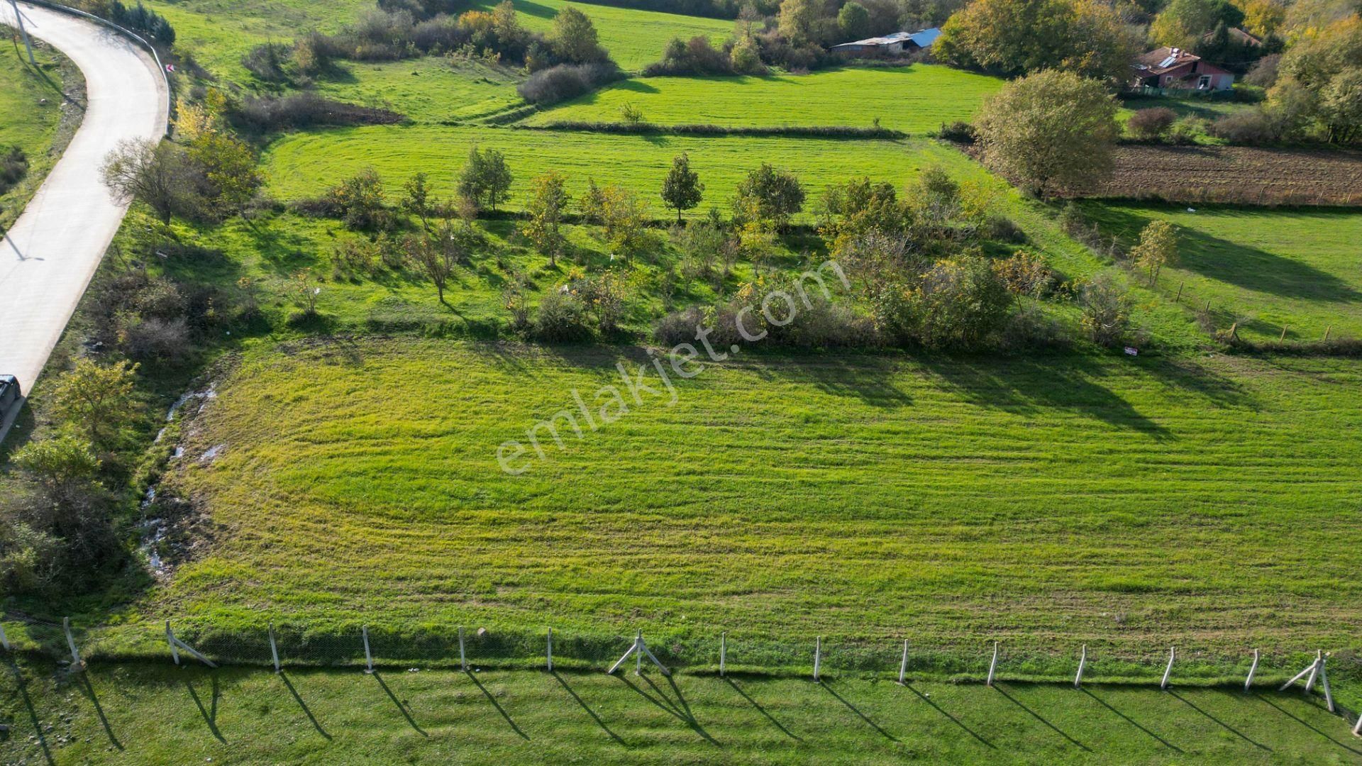 Uzmanlar'dan Karamürsel Yalakdere 1.704 M² Asfalta Cephe Satılık Tarla - Görsel 5