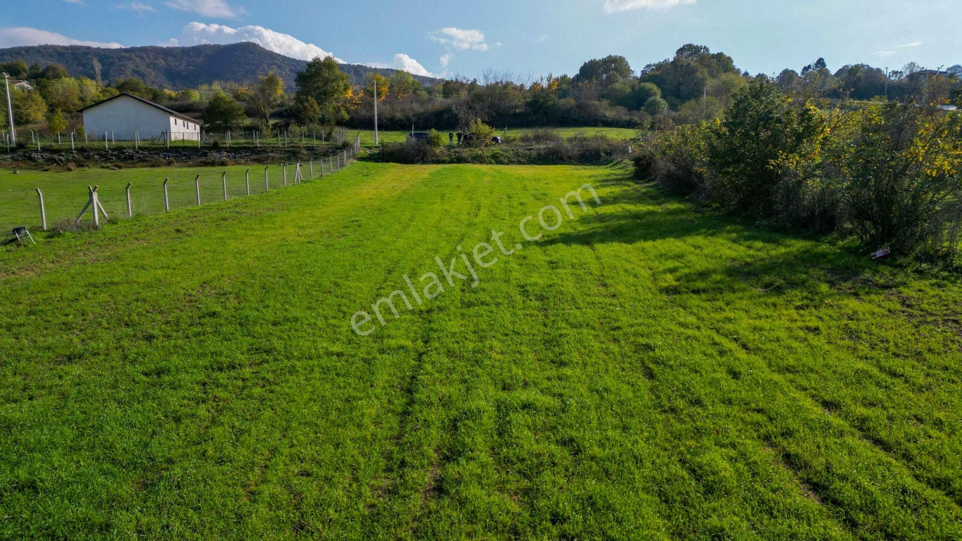 Uzmanlar'dan Karamürsel Yalakdere 1.704 M² Asfalta Cephe Satılık Tarla - Görsel 10