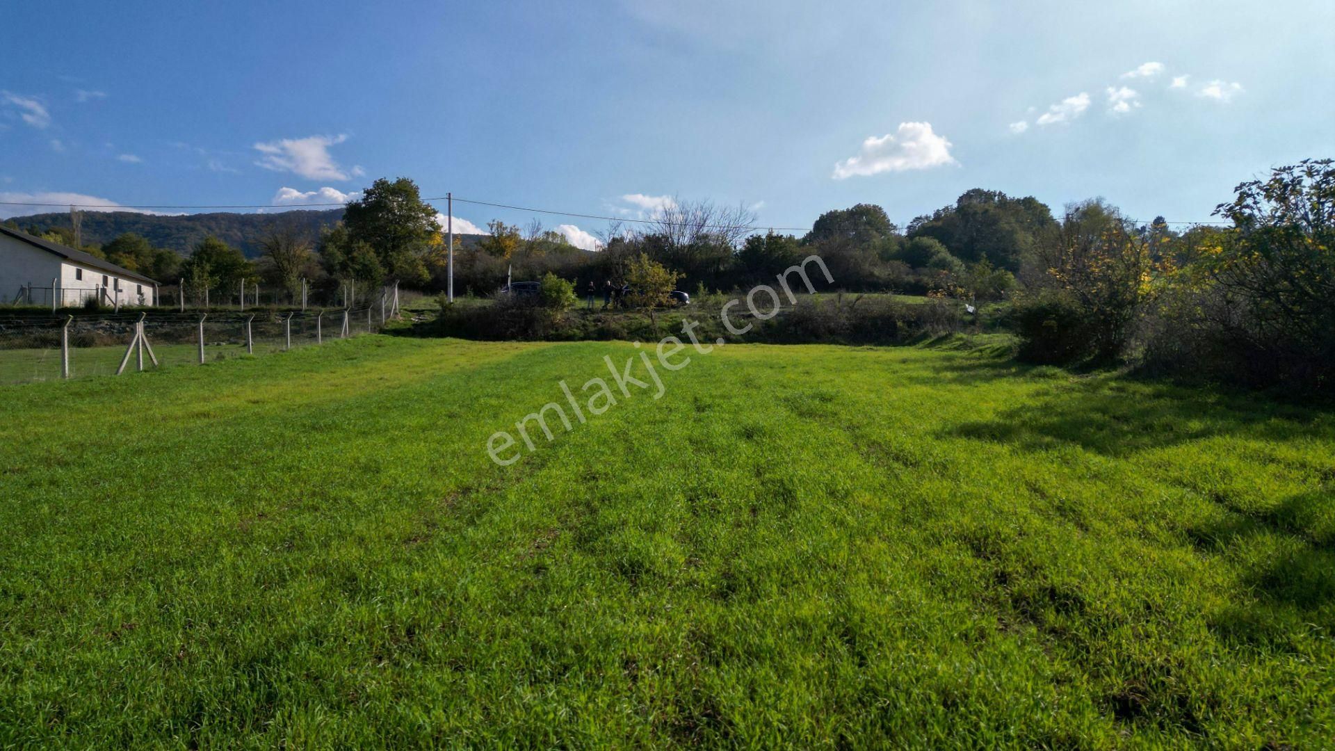 Uzmanlar'dan Karamürsel Yalakdere 1.704 M² Asfalta Cephe Satılık Tarla - Görsel 8