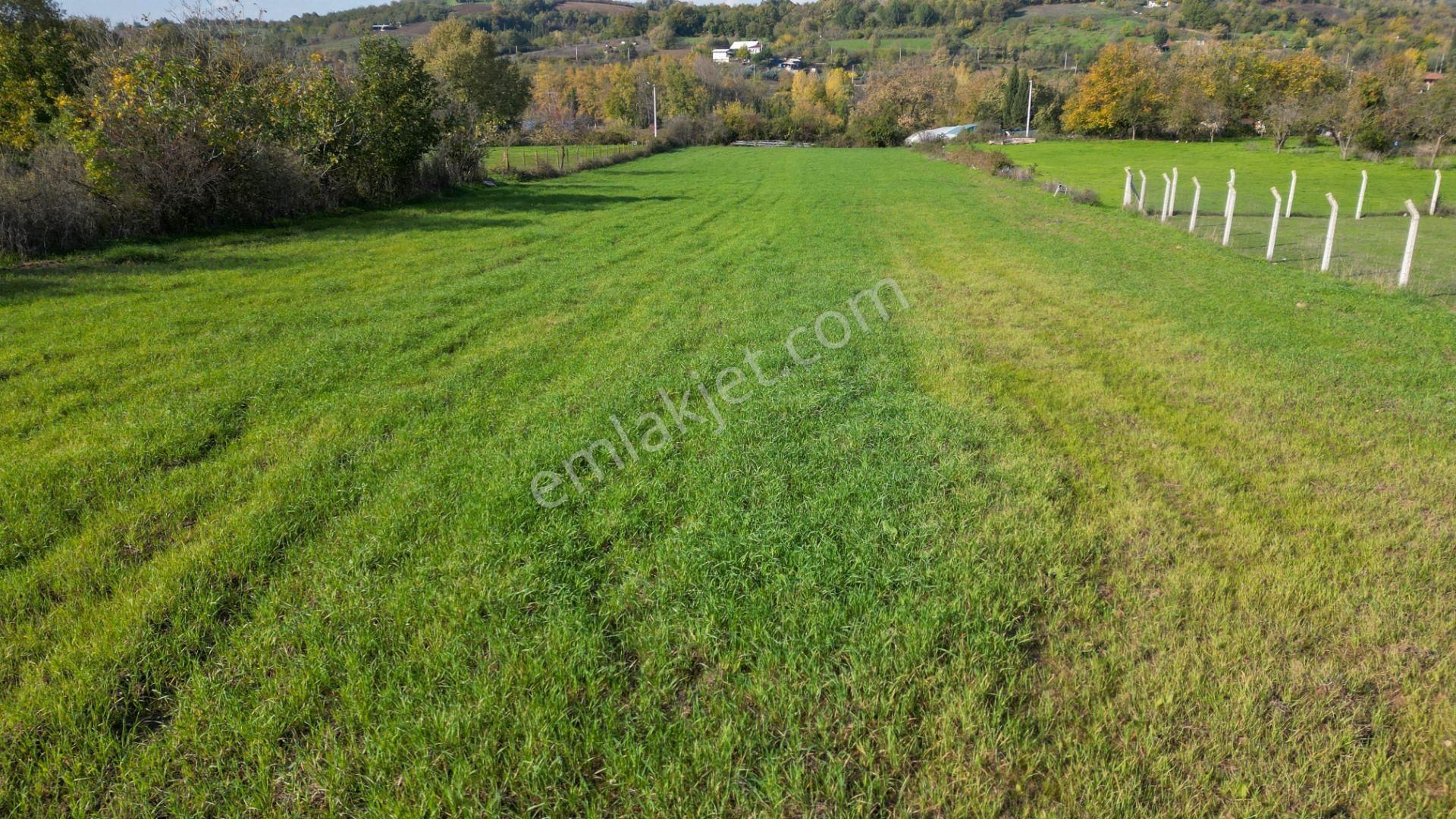 Uzmanlar'dan Karamürsel Yalakdere 1.704 M² Asfalta Cephe Satılık Tarla - Görsel 6