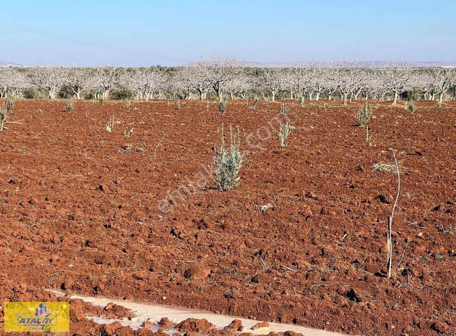 Keferhan İnanlı Köyünde 12.344 Metre 4 Lük Suyu Mevcut Satlık Ar - Görsel 4