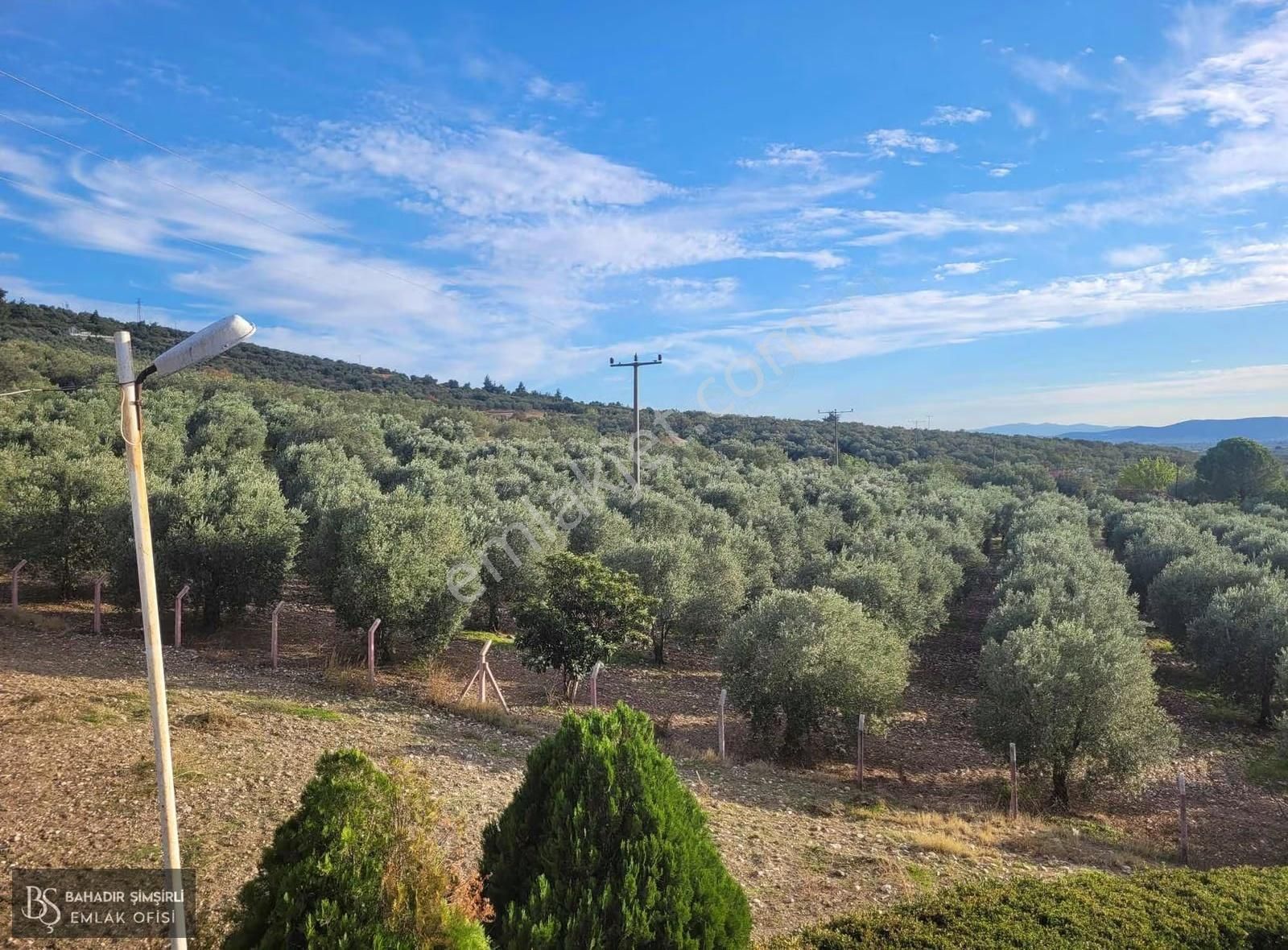 B.ş.den Su Deliği Mevkii Satılık Çiflik Evi Zeytin Deposu - Görsel 15