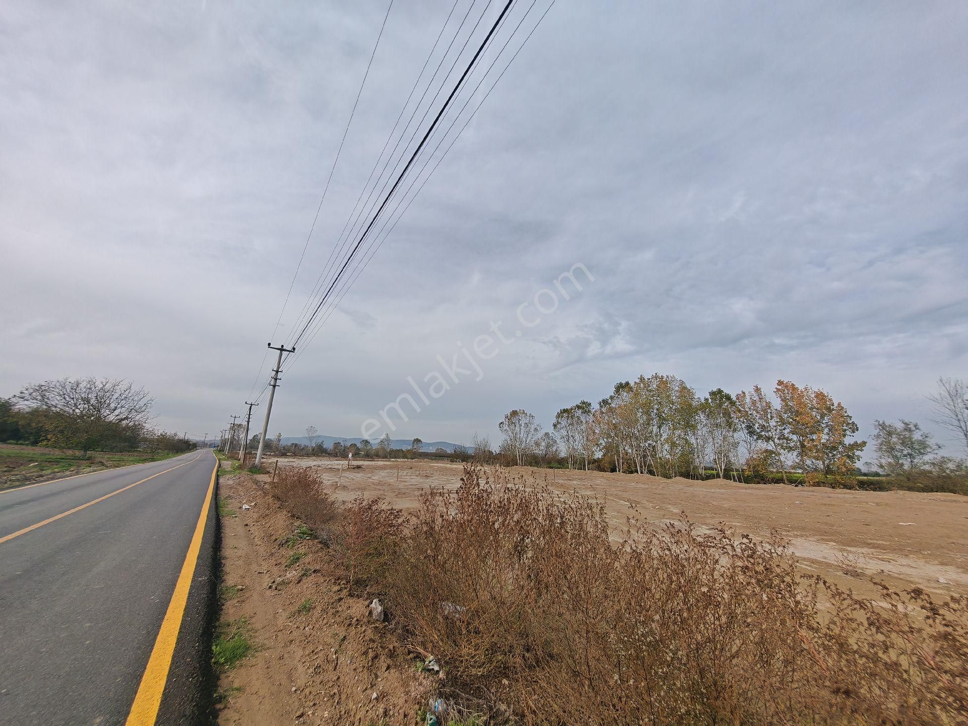 Remax Mavi'den Söğütlü'de Cadde Üzeri Yatırımlık Tarla - Görsel 2