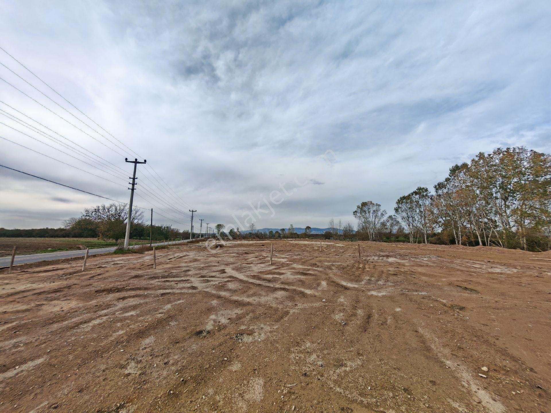 Remax Mavi'den Söğütlü'de Cadde Üzeri Yatırımlık Tarla - Görsel 3