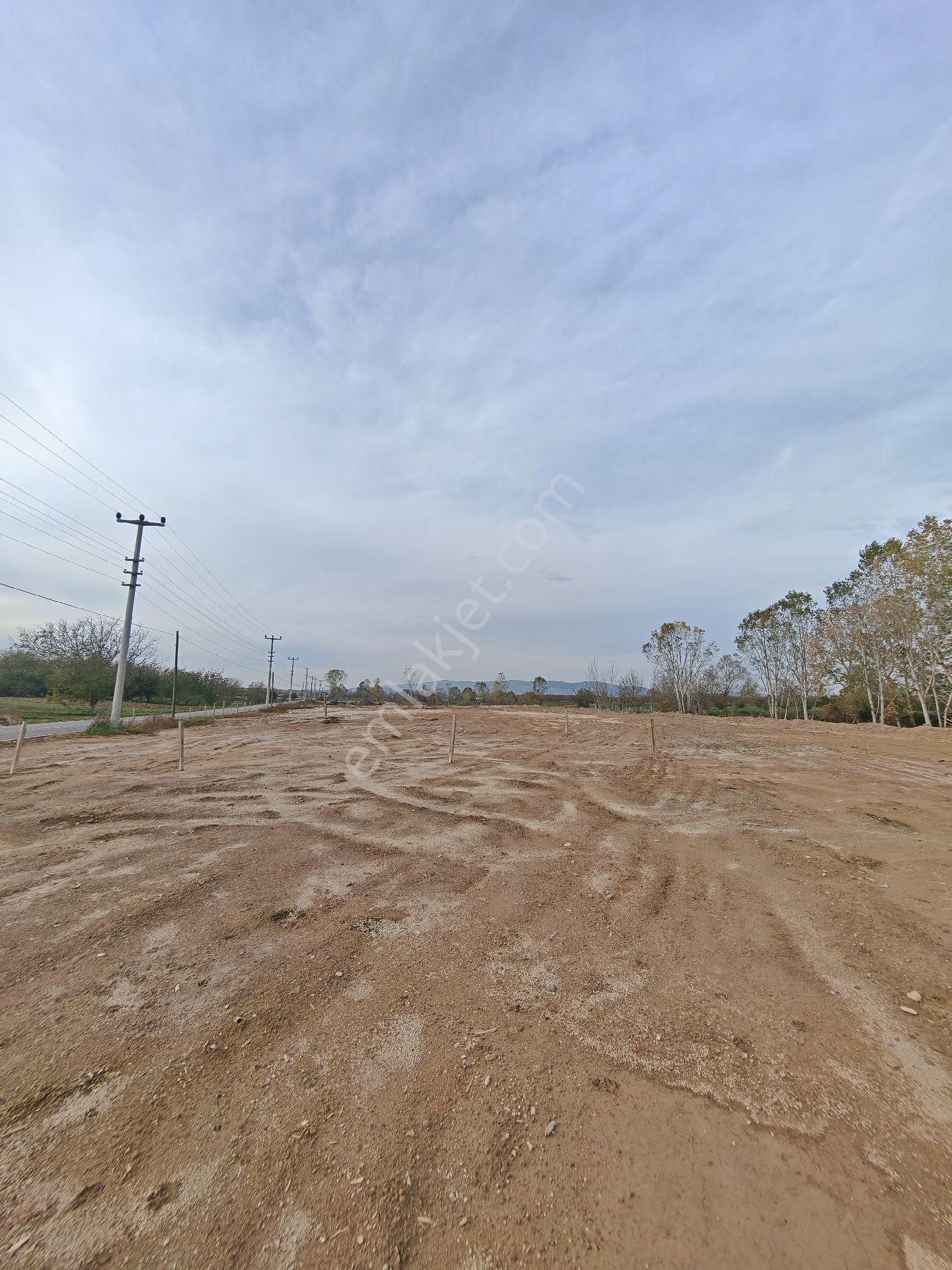 Remax Mavi'den Söğütlü'de Cadde Üzeri Yatırımlık Tarla - Görsel 4