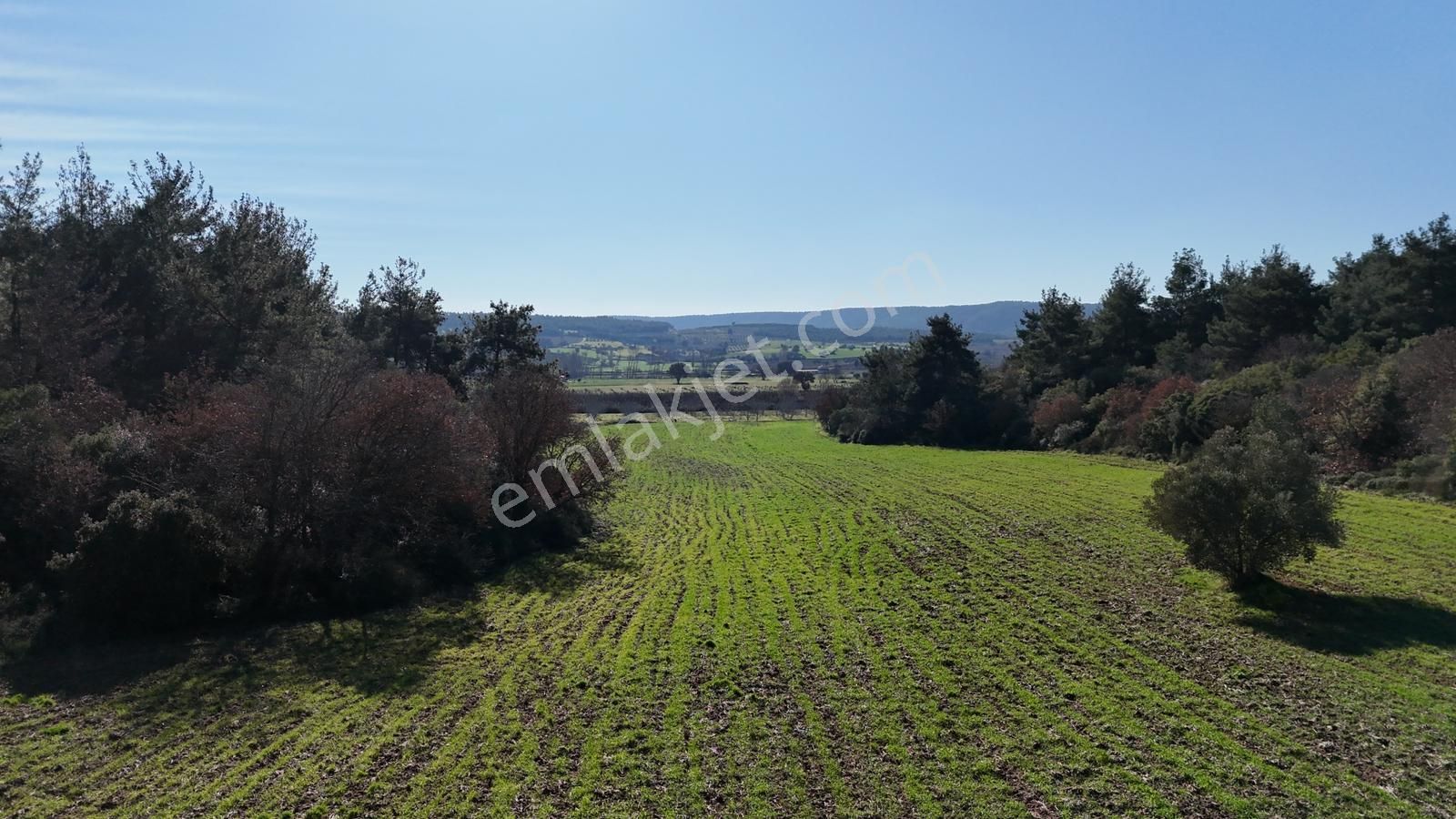 Çanakkale Eceabat Kemalpaşa Mahallesinde Satılık Tarla Hissesi - Görsel 7