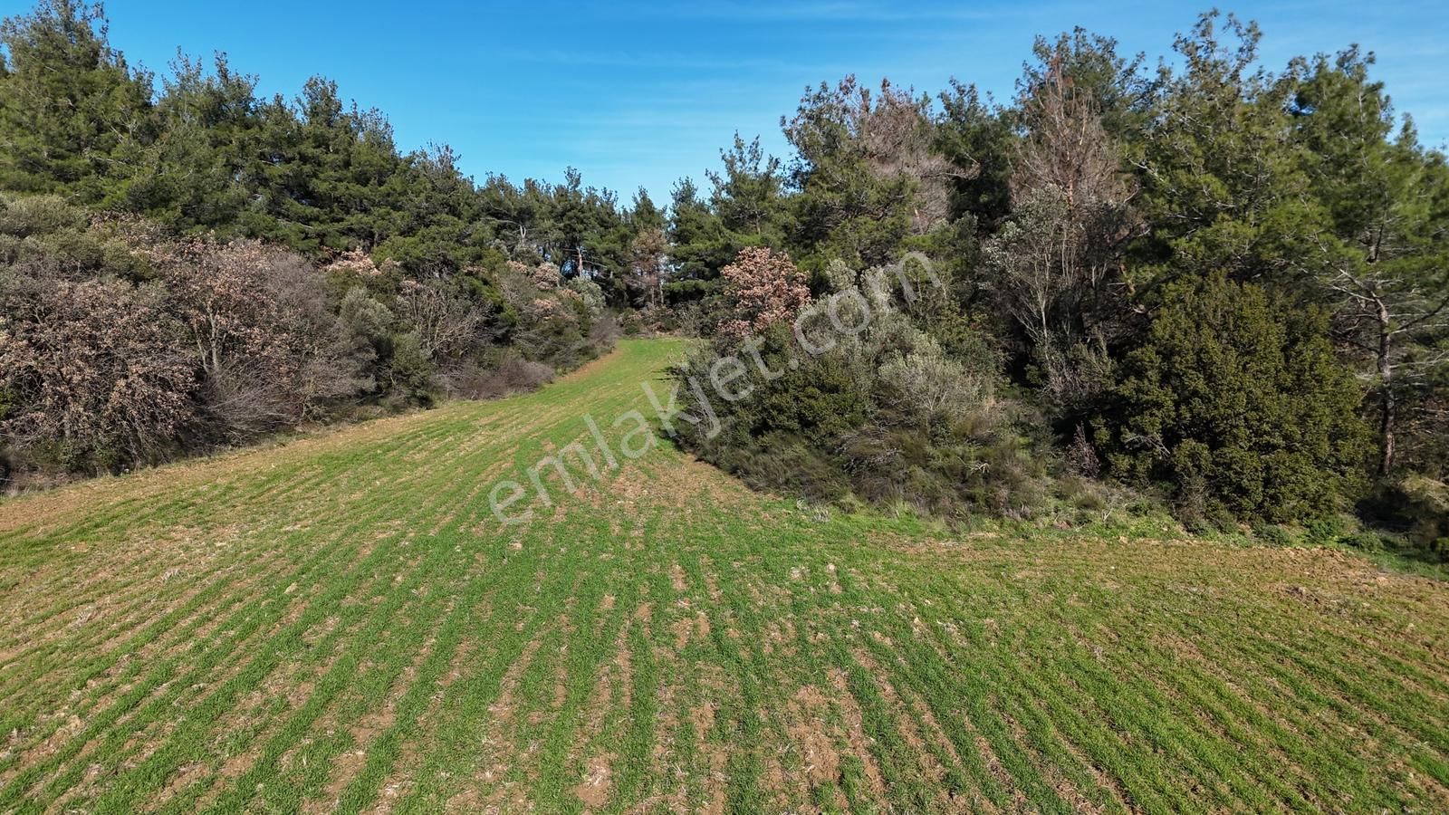 Çanakkale Eceabat Kemalpaşa Mahallesinde Satılık Tarla Hissesi - Görsel 6