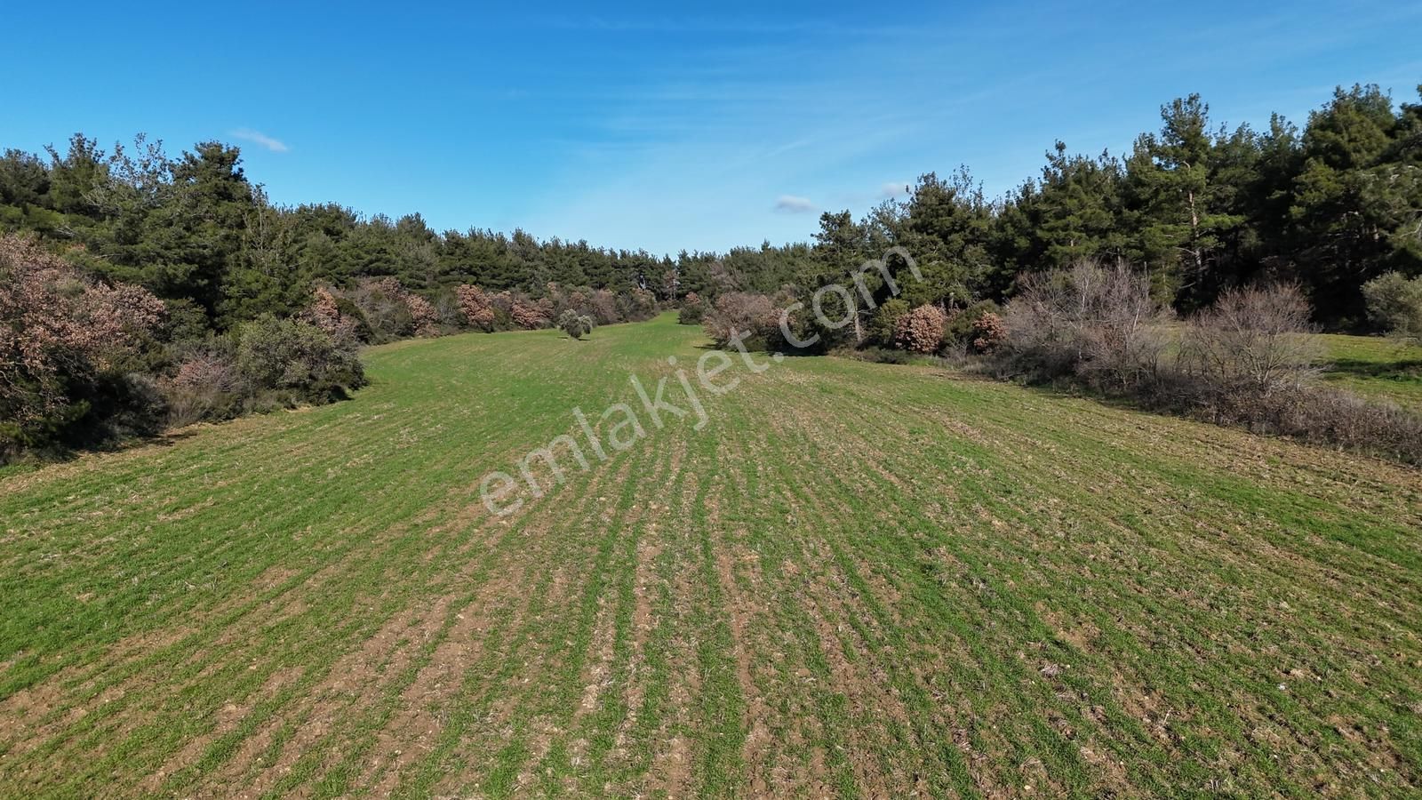Çanakkale Eceabat Kemalpaşa Mahallesinde Satılık Tarla Hissesi - Görsel 3