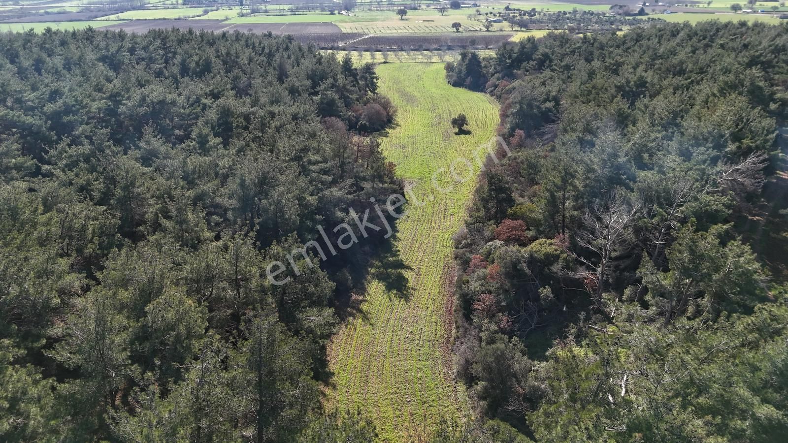 Çanakkale Eceabat Kemalpaşa Mahallesinde Satılık Tarla Hissesi - Görsel 8