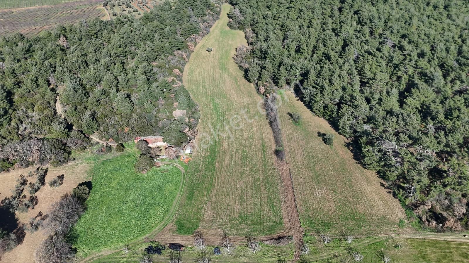 Çanakkale Eceabat Kemalpaşa Mahallesinde Satılık Tarla Hissesi - Görsel 4