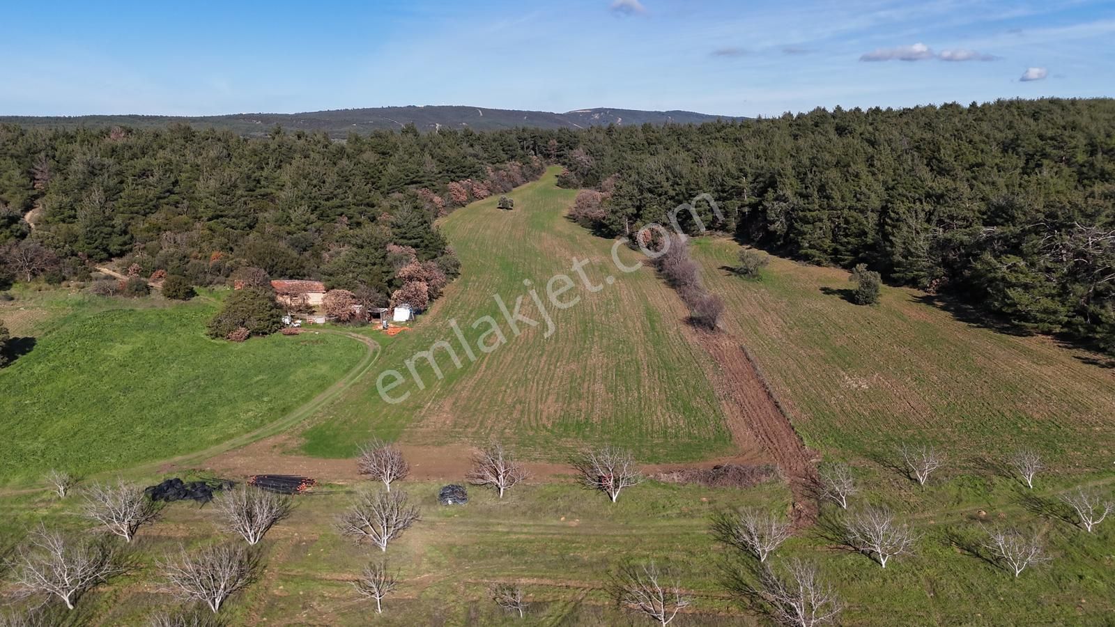 Çanakkale Eceabat Kemalpaşa Mahallesinde Satılık Tarla Hissesi