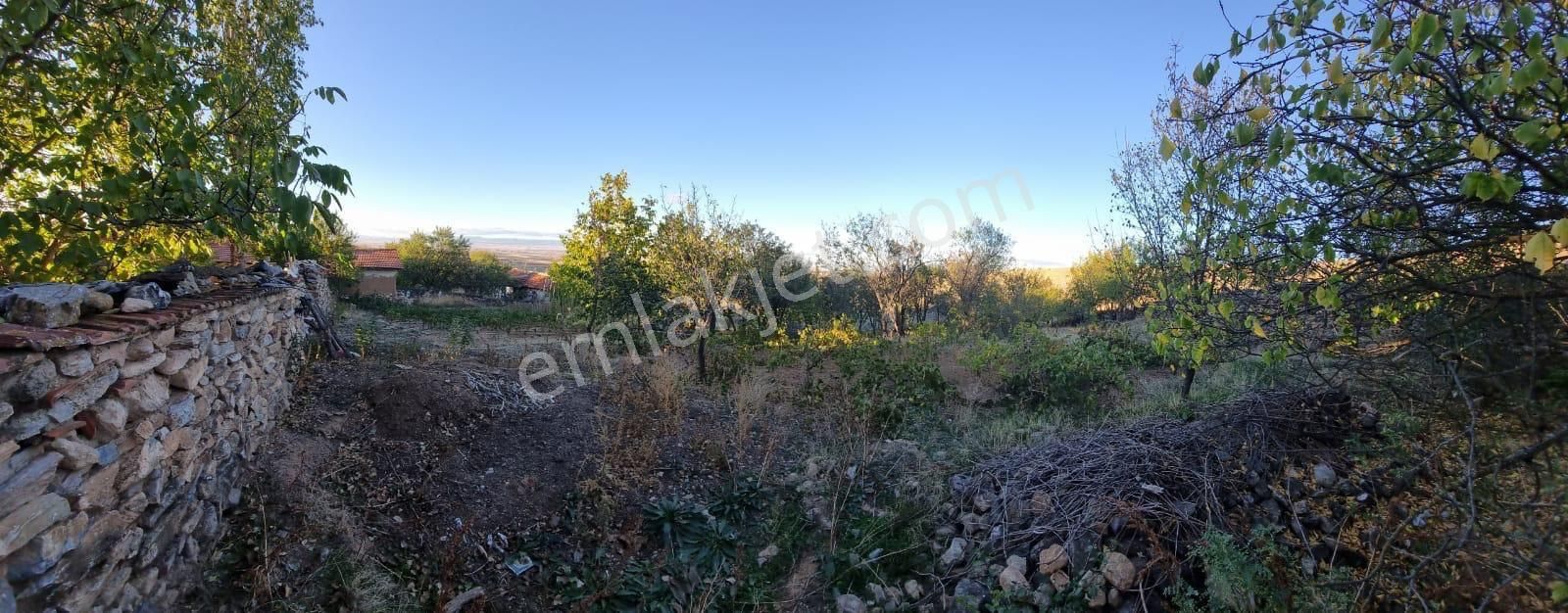 Eskişehir Beylikova Halilbağı Köyünde Sahibinden Satılık - Görsel 7