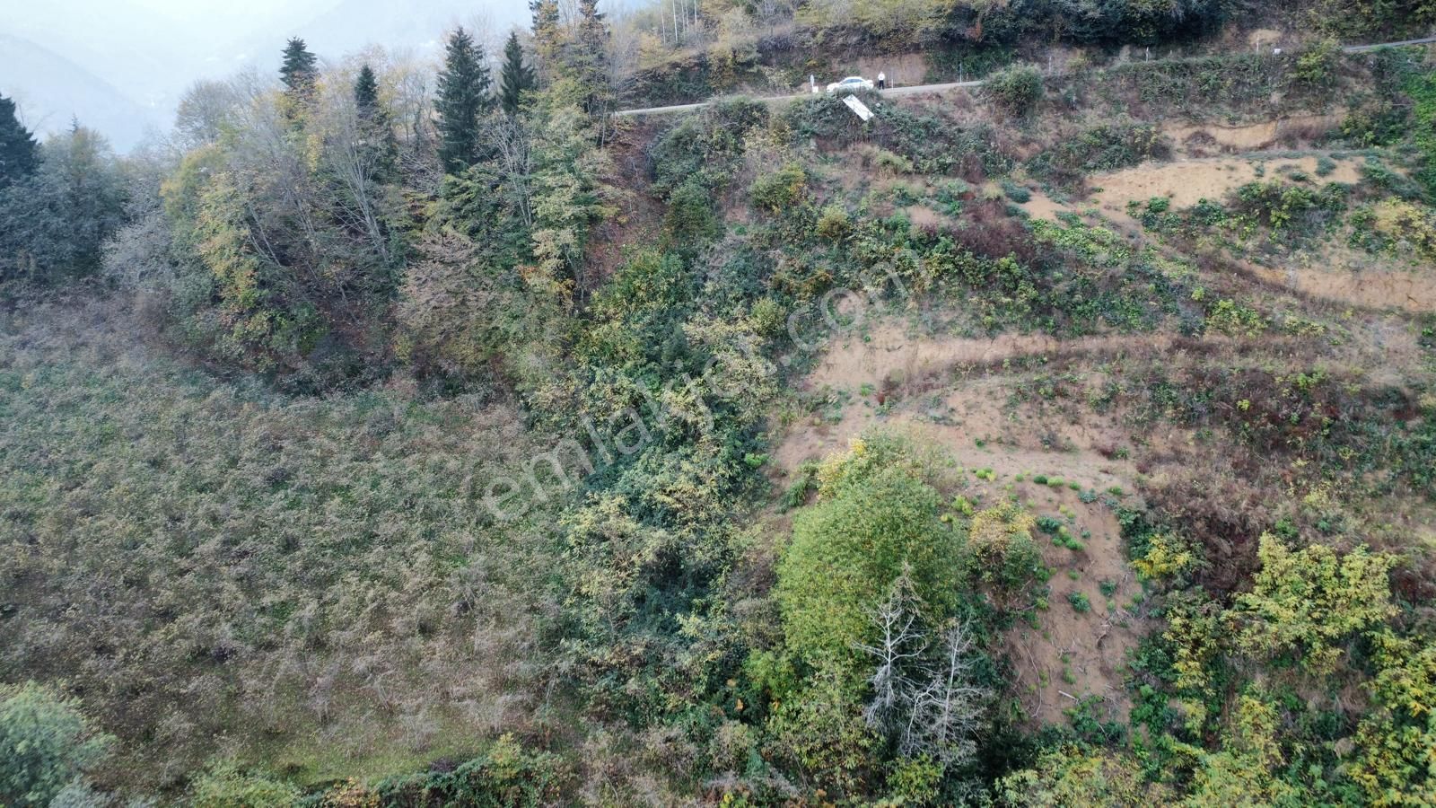 Trabzon'da Satılık Arazi