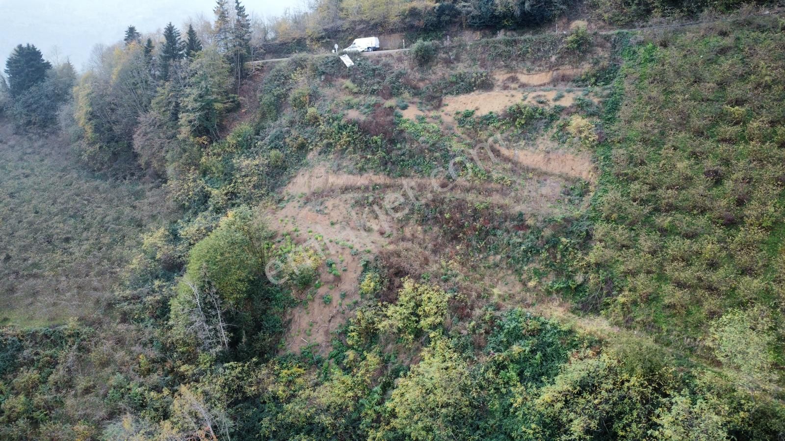 Trabzon'da Satılık Arazi - Görsel 3