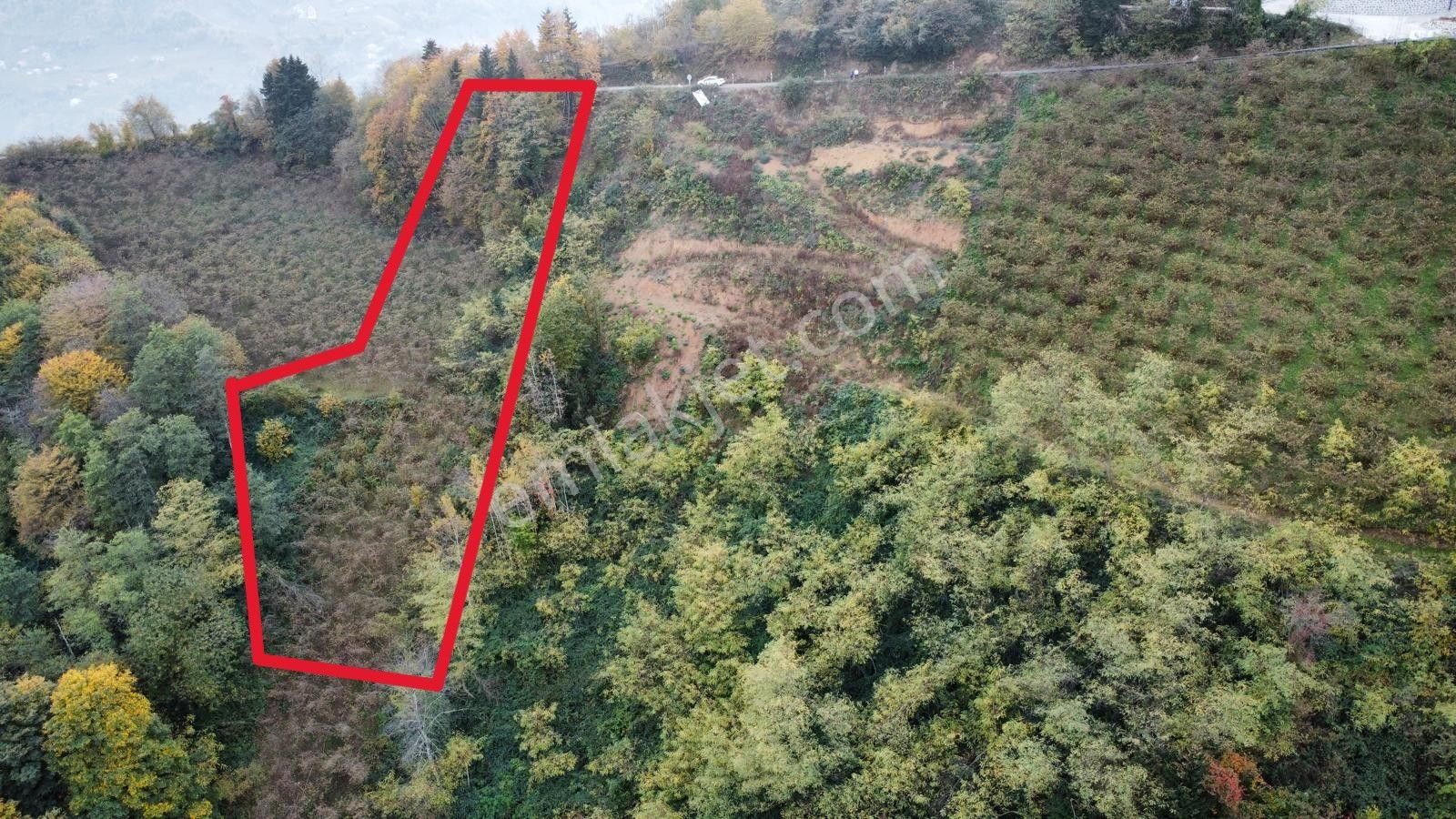 Trabzon'da Satılık Arazi - Görsel 25