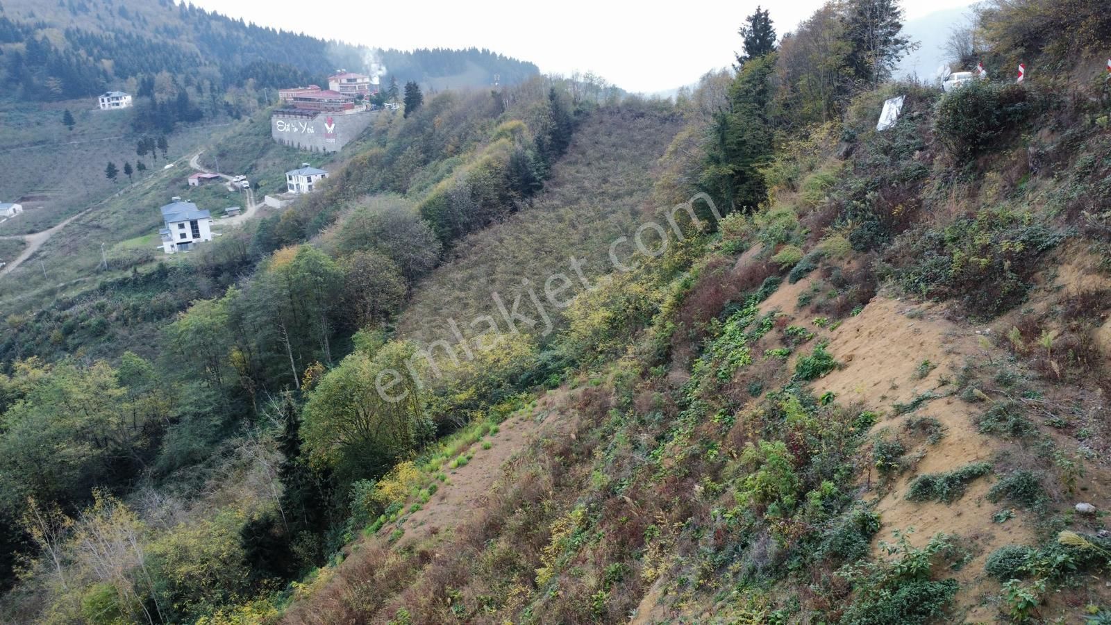 Trabzon'da Satılık Arazi - Görsel 6