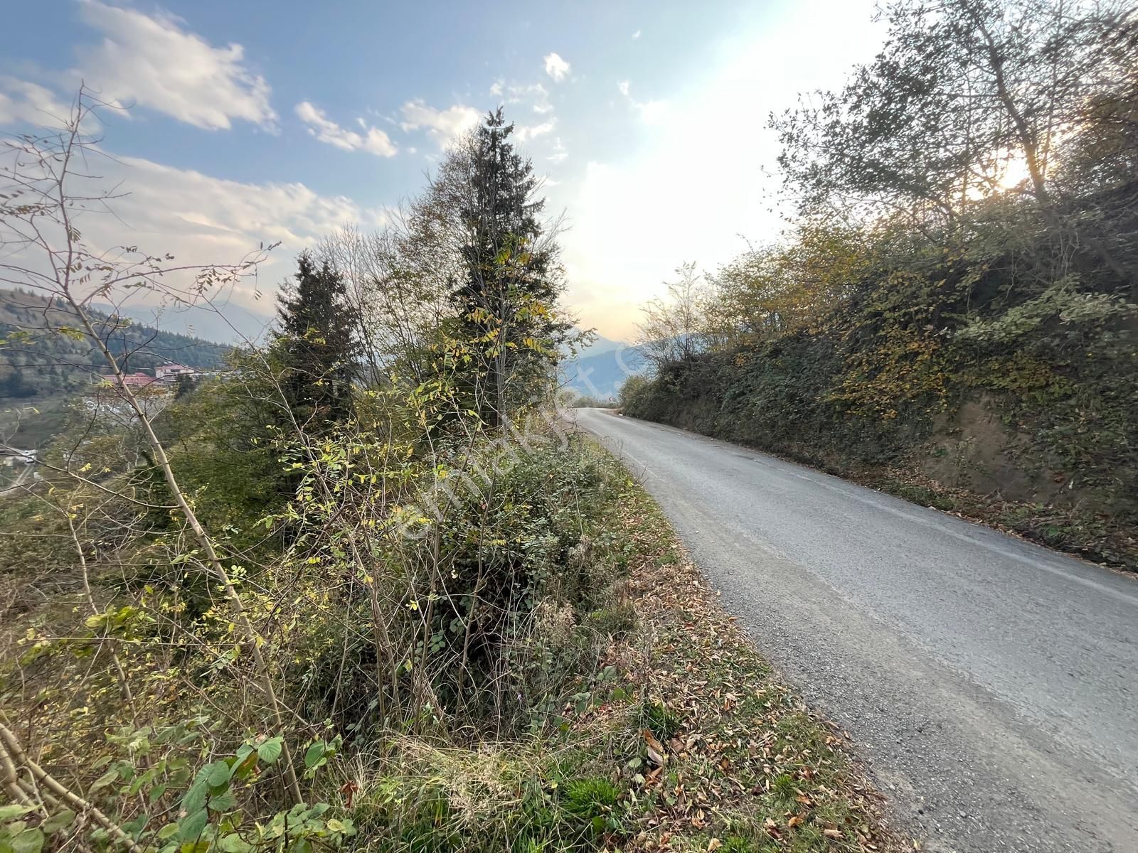 Trabzon'da Satılık Arazi - Görsel 30