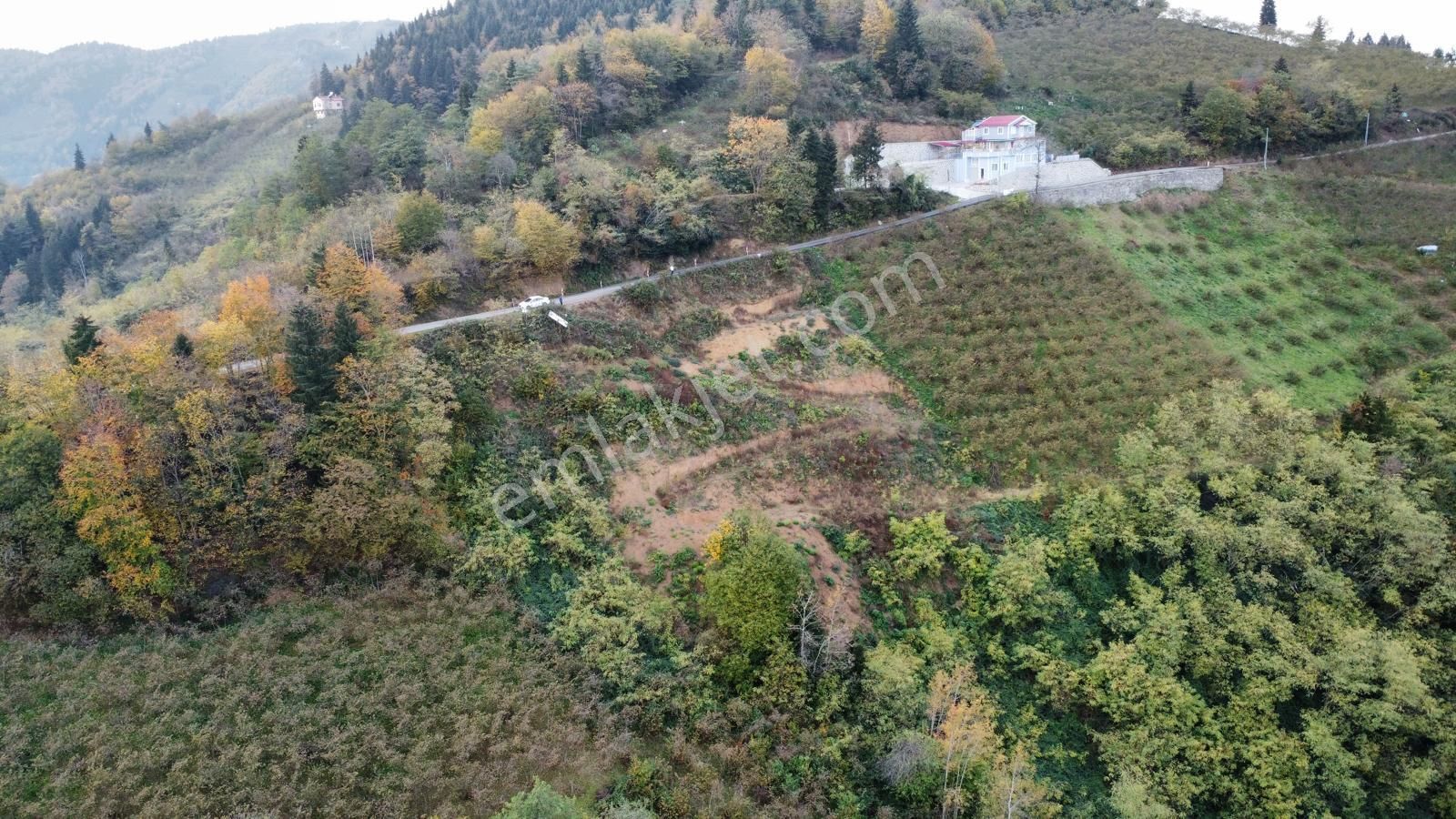 Trabzon'da Satılık Arazi - Görsel 28