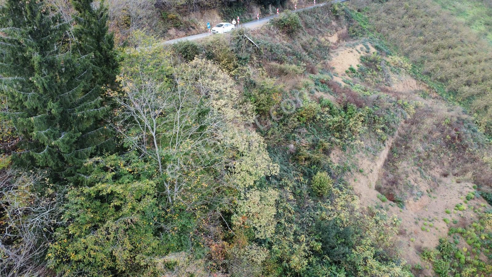 Trabzon'da Satılık Arazi - Görsel 9