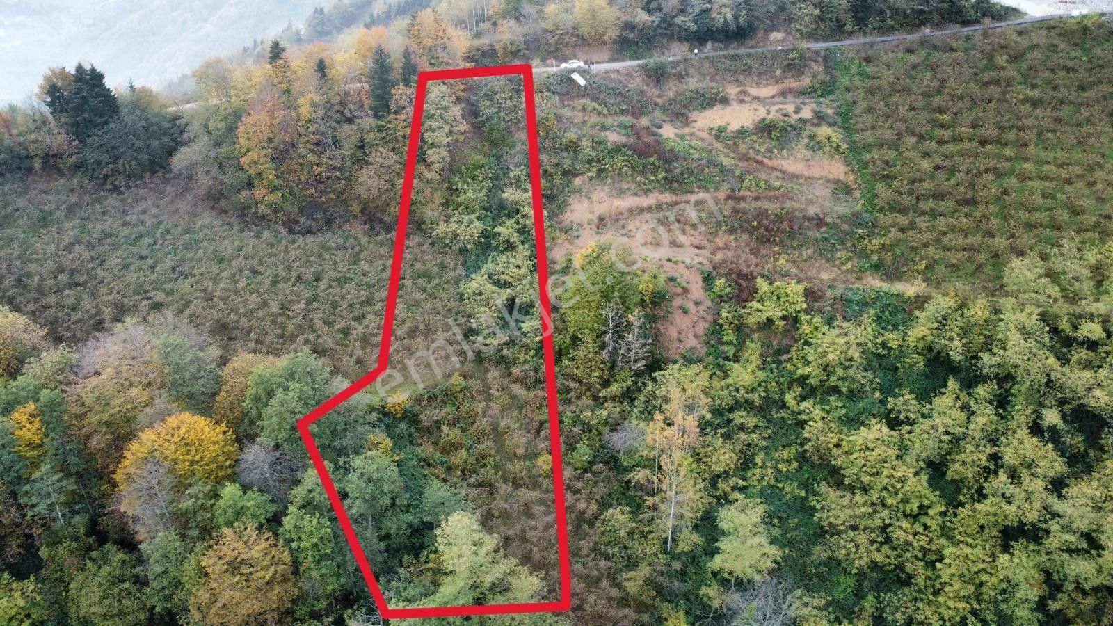 Trabzon'da Satılık Arazi - Görsel 2