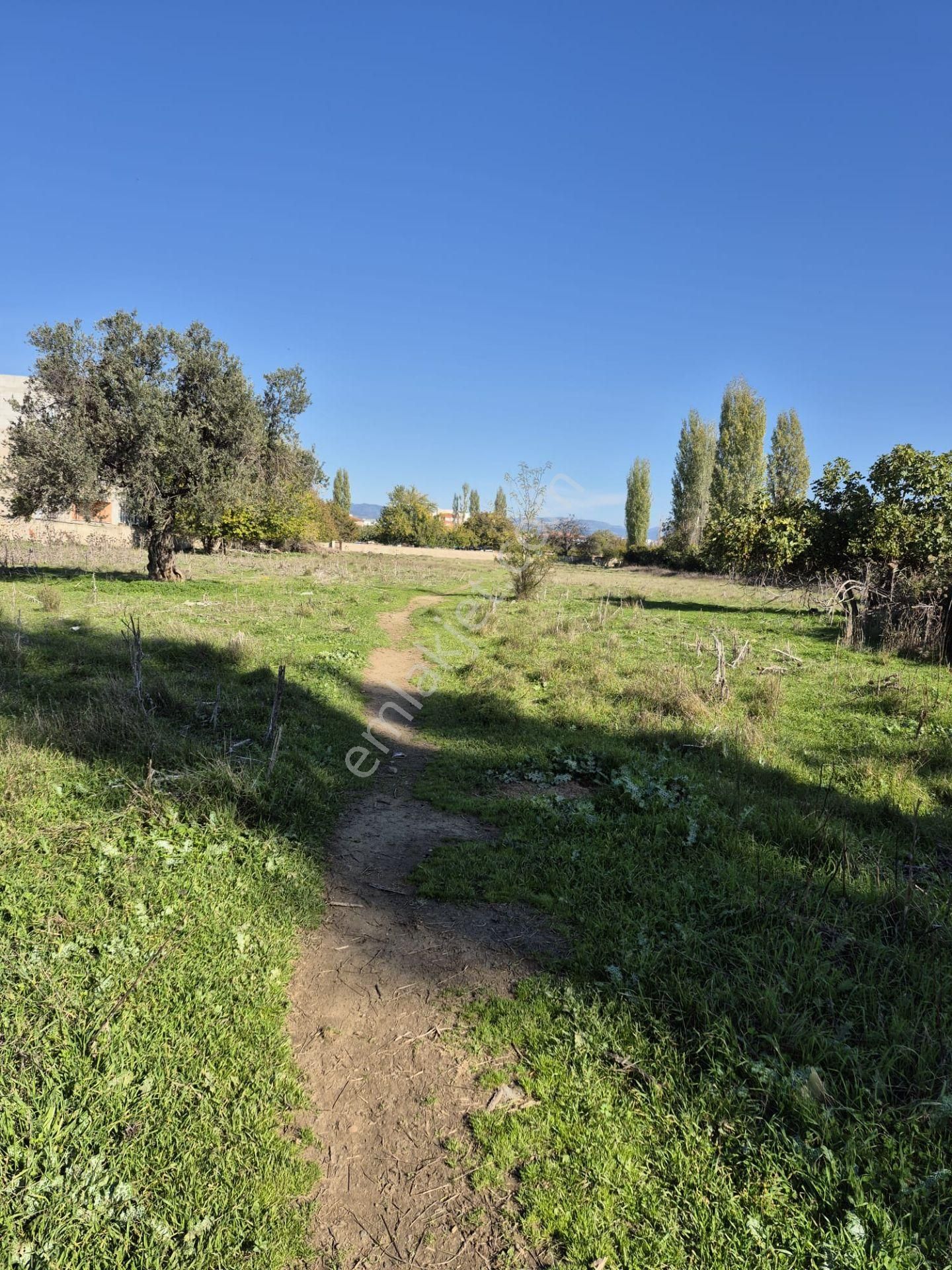 !!!cennet Ayağında Satılık Fırsat 8641 M2 Bahçe Vasfında Arsa!!! - Görsel 23