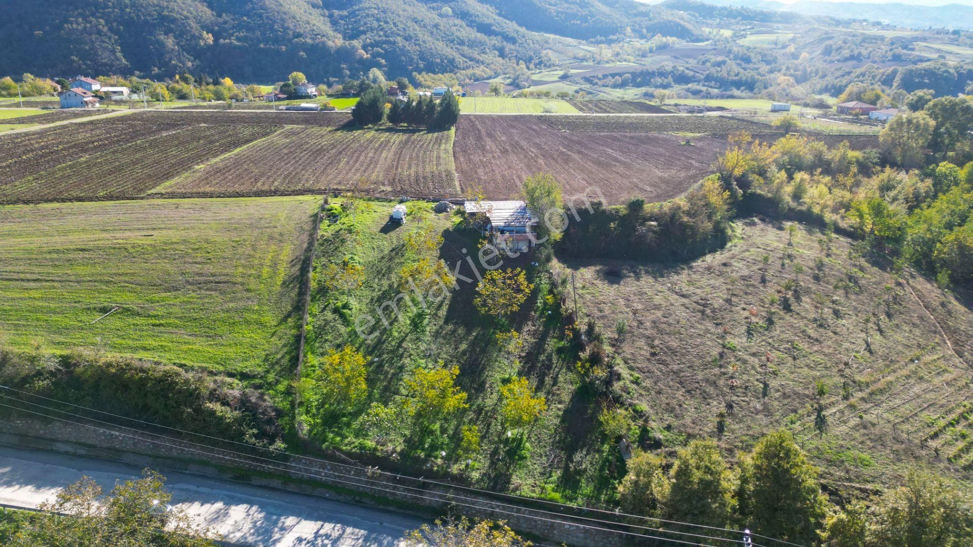 Kocaeli Karamürsel Avcıköy 1.325 M² %5 İmarlı Satılık Meyve Bahçesi - Görsel 14