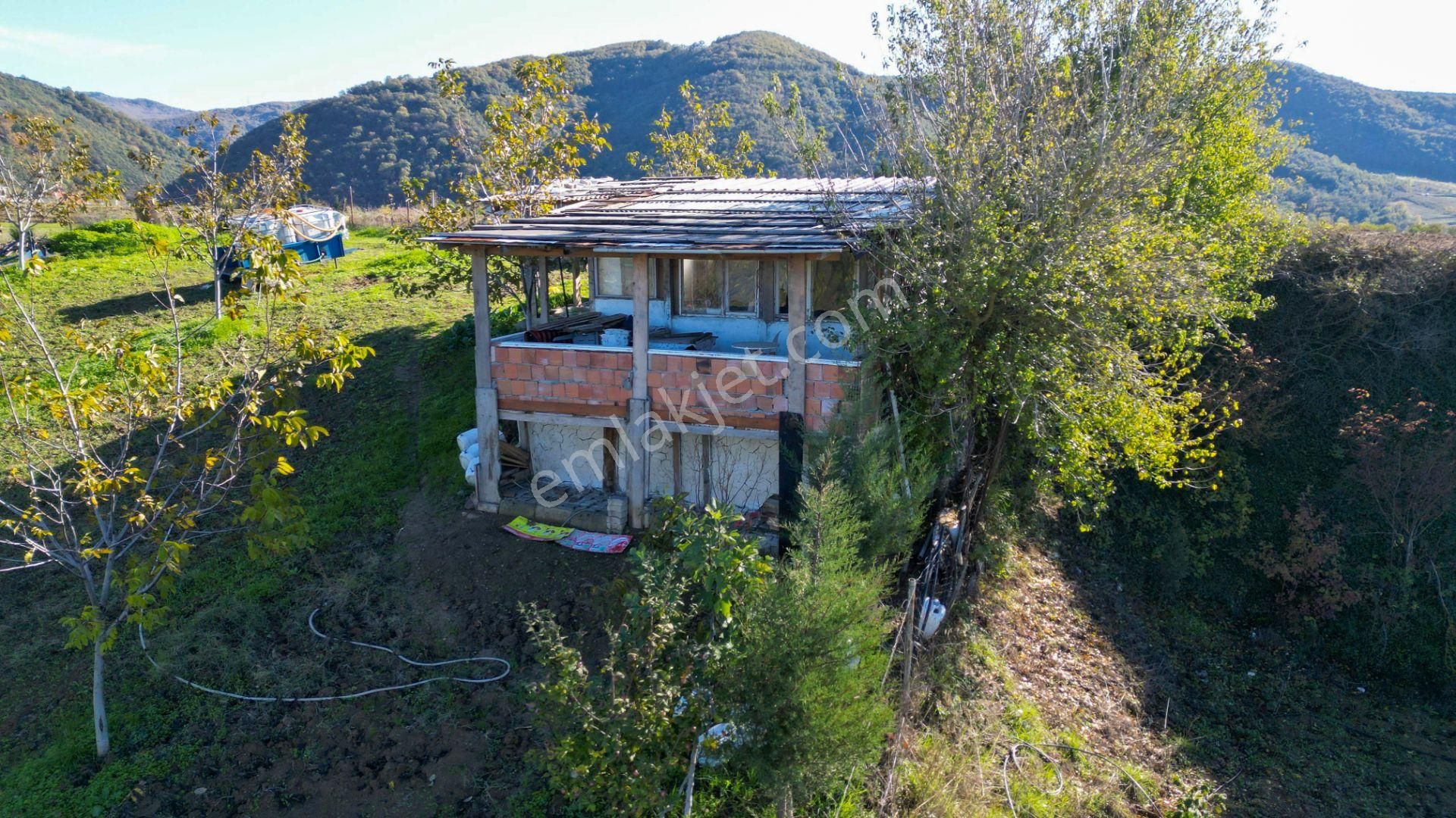 Kocaeli Karamürsel Avcıköy 1.325 M² %5 İmarlı Satılık Meyve Bahçesi - Görsel 9