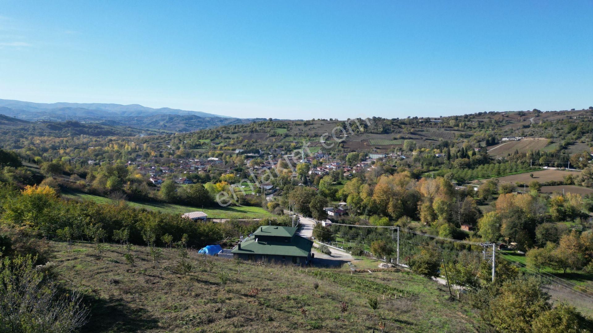 Kocaeli Karamürsel Avcıköy 1.325 M² %5 İmarlı Satılık Meyve Bahçesi - Görsel 16