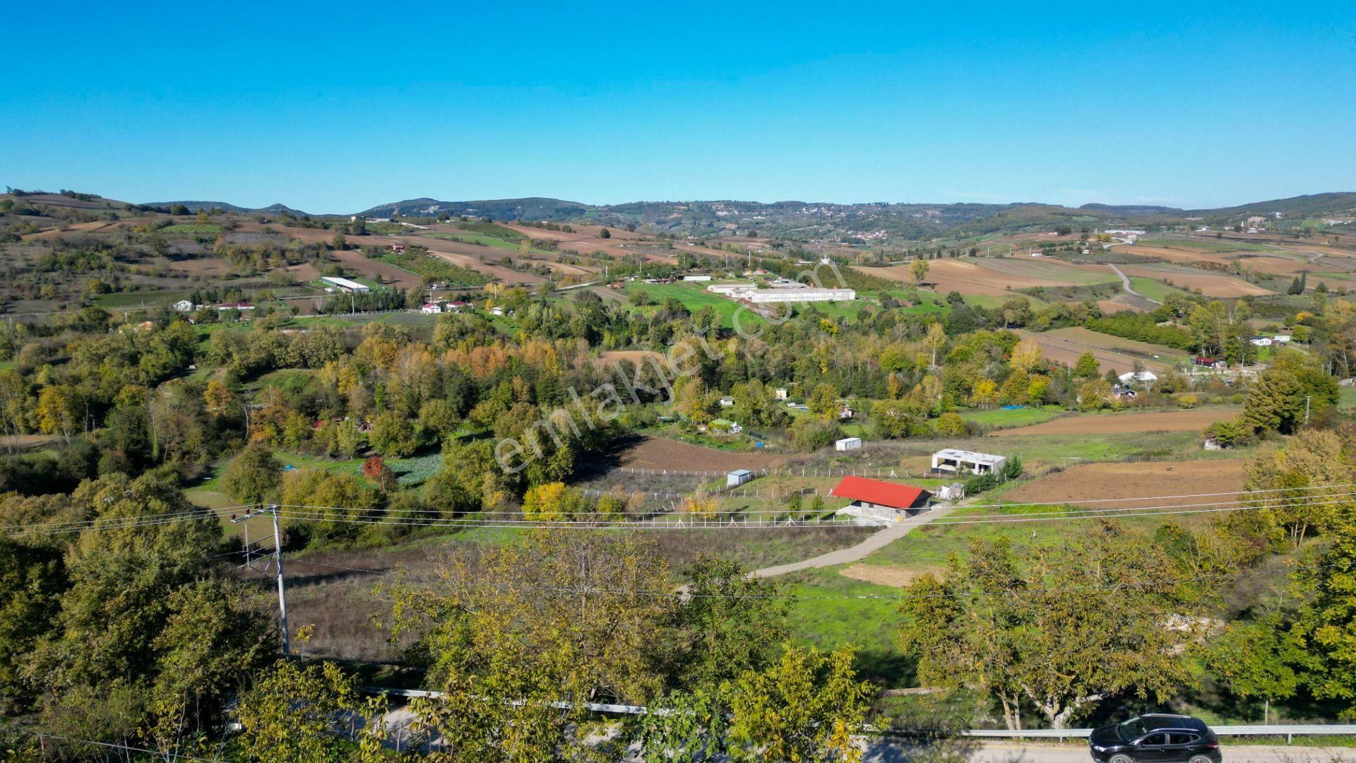 Kocaeli Karamürsel Avcıköy 1.325 M² %5 İmarlı Satılık Meyve Bahçesi - Görsel 12