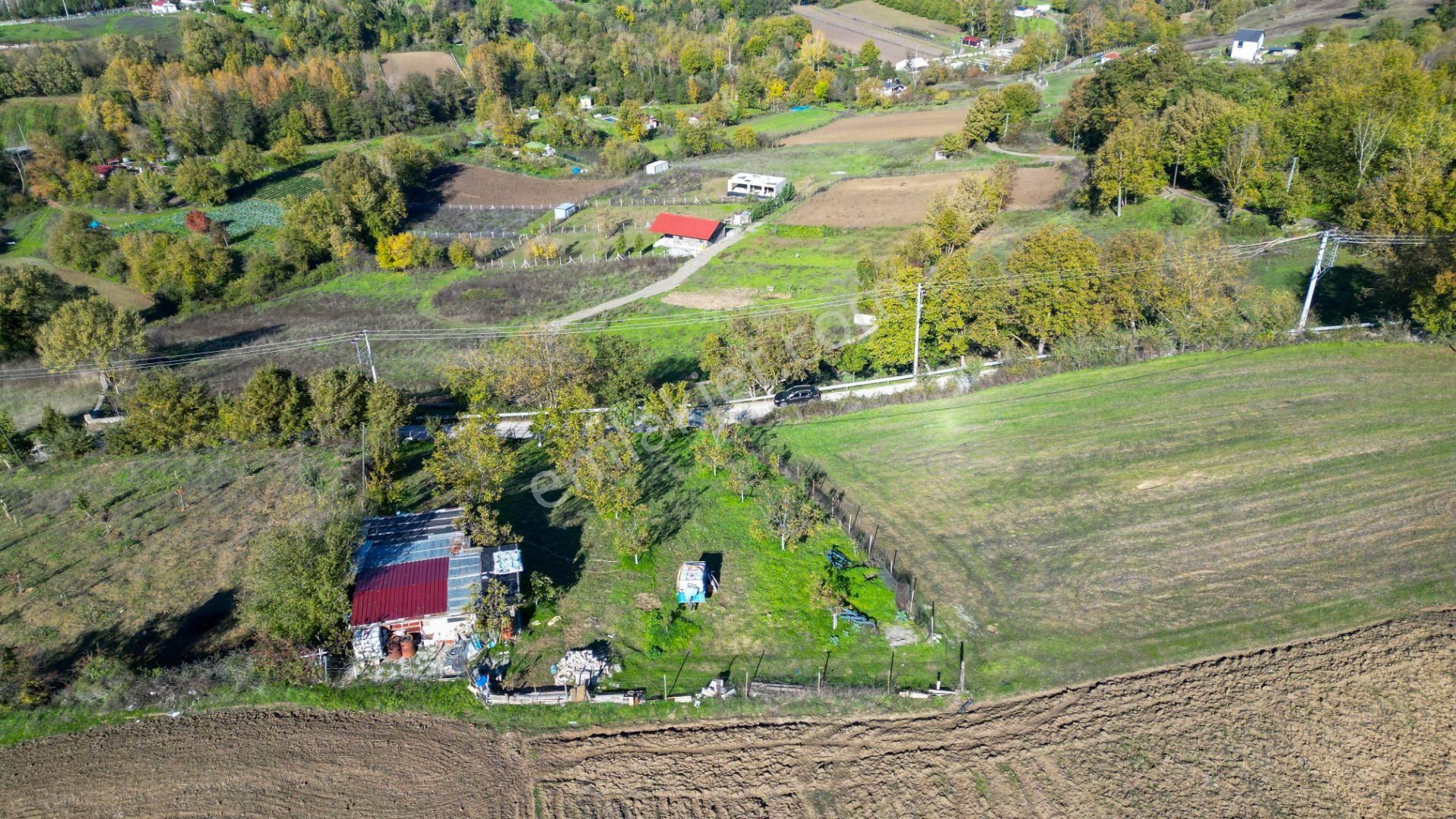 Kocaeli Karamürsel Avcıköy 1.325 M² %5 İmarlı Satılık Meyve Bahçesi - Görsel 7